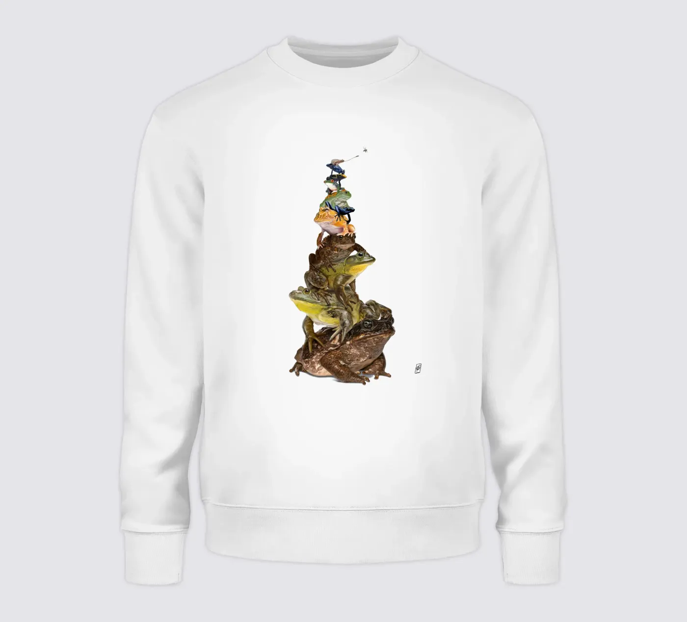 Toadstool (Colour) felpa da Rob Art | Illustration