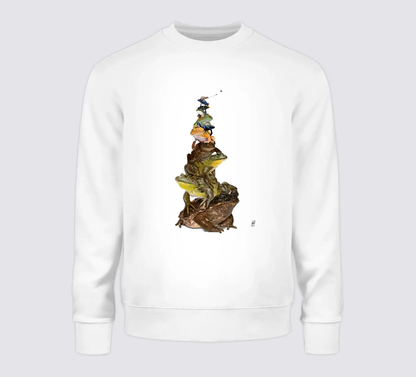Toadstool (Colour) felpa da Rob Art | Illustration