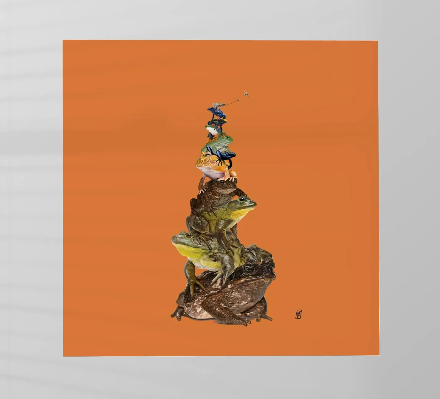Toadstool (Colour) pellicola backlit da Rob Art | Illustration