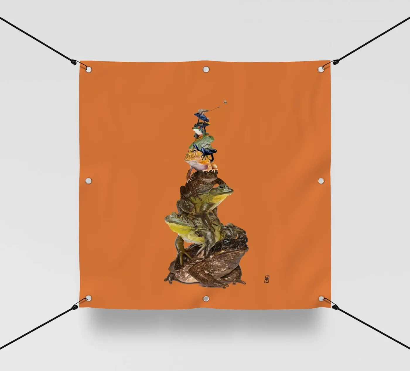 Toadstool (Colour) telo in pvc da Rob Art | Illustration
