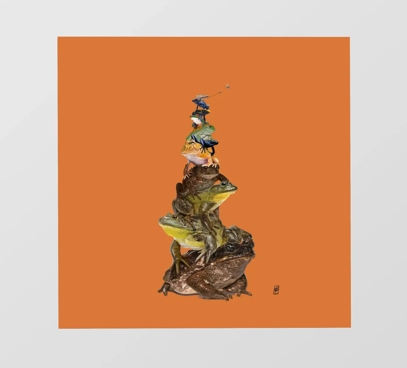 Toadstool (Colour) telo in pvc da Rob Art | Illustration