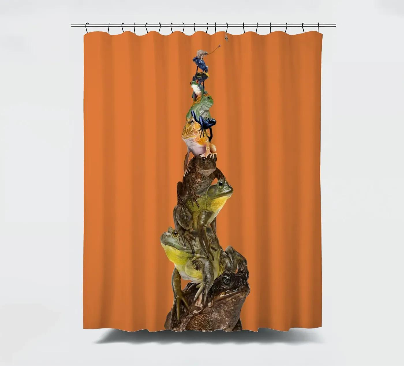 Toadstool (Colour) Duschvorhang von Rob Art | Illustration