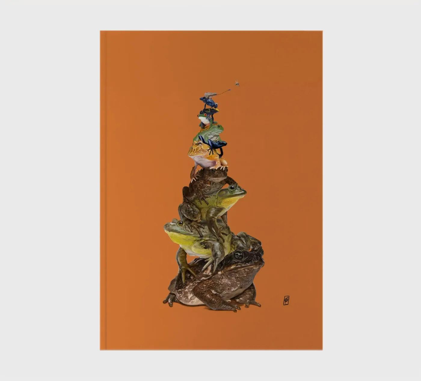 Toadstool (Colour) notebook by Rob Art | Illustration