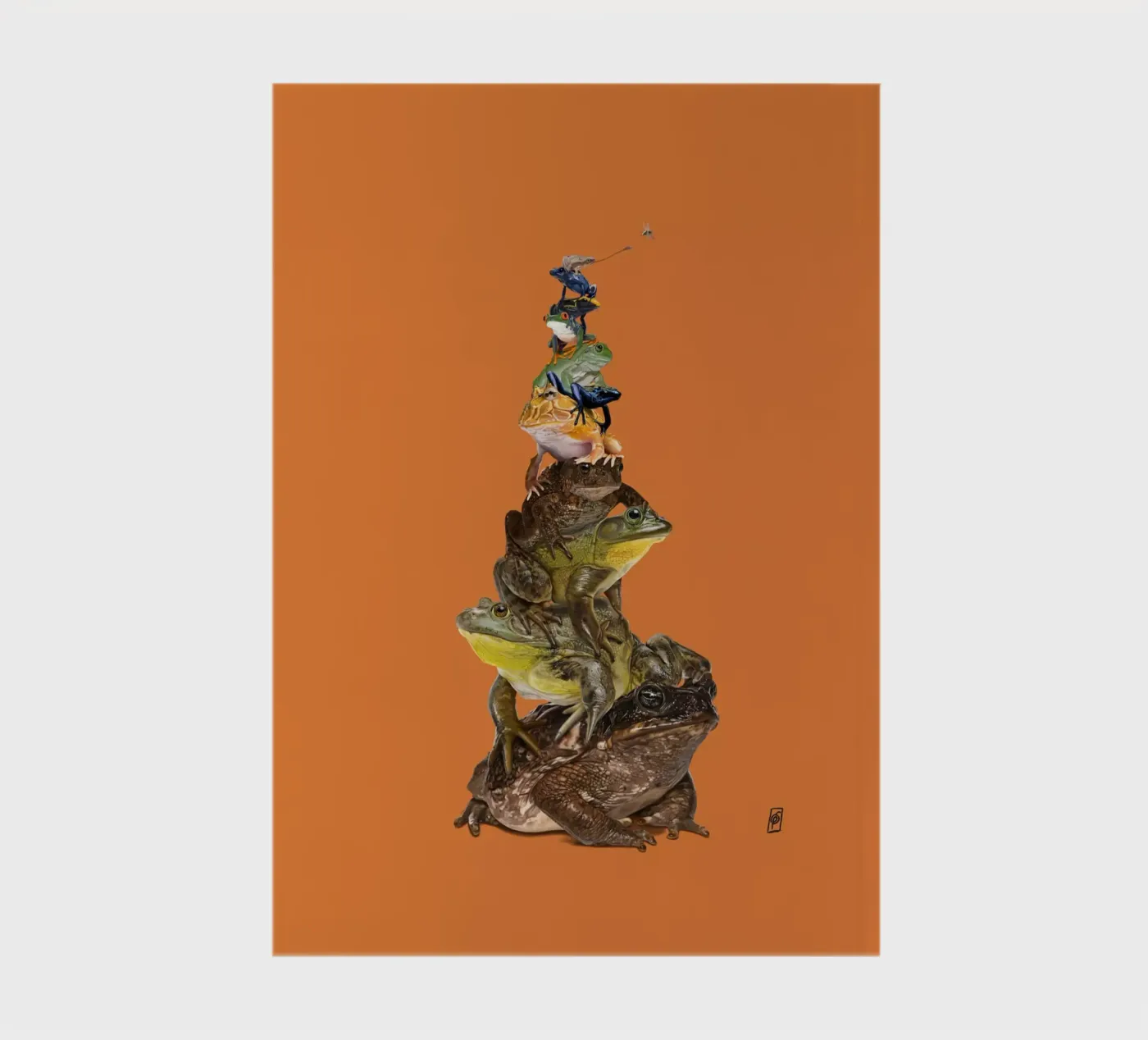 Toadstool (Colour) notebook by Rob Art | Illustration