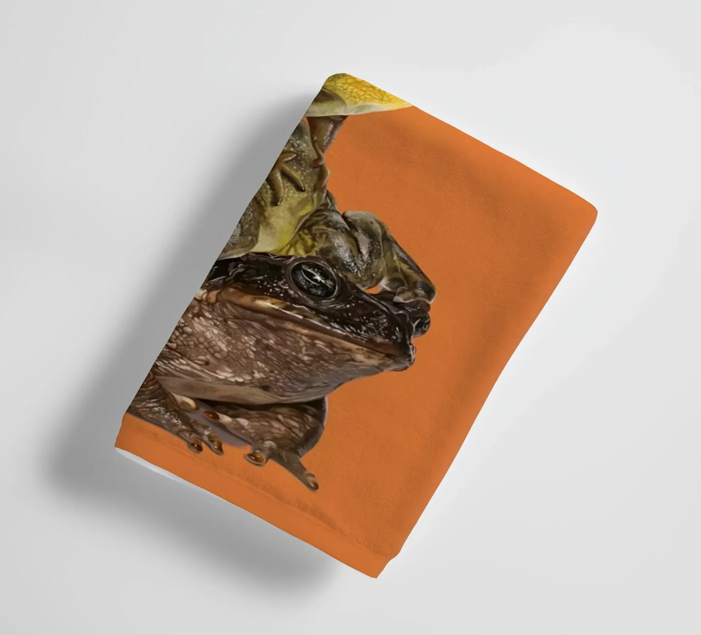 Toadstool (Colour) towel by Rob Art | Illustration