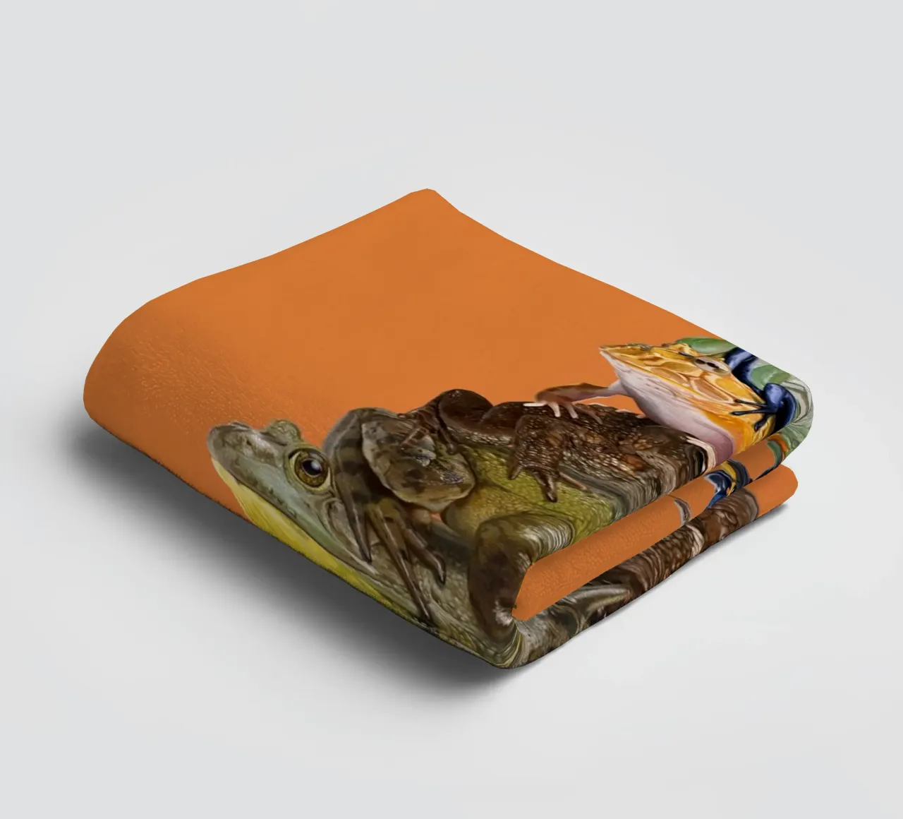 Toadstool (Colour) asciugamano da bagno da Rob Art | Illustration