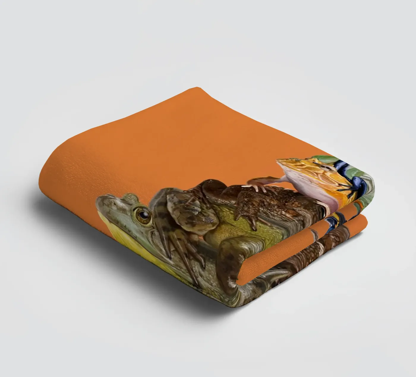 Toadstool (Colour) towel by Rob Art | Illustration