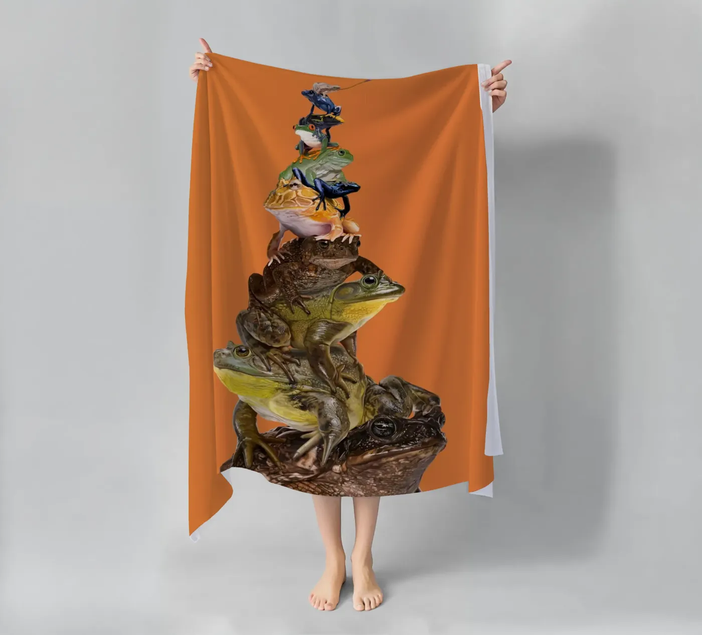 Toadstool (Colour) telo mare da Rob Art | Illustration
