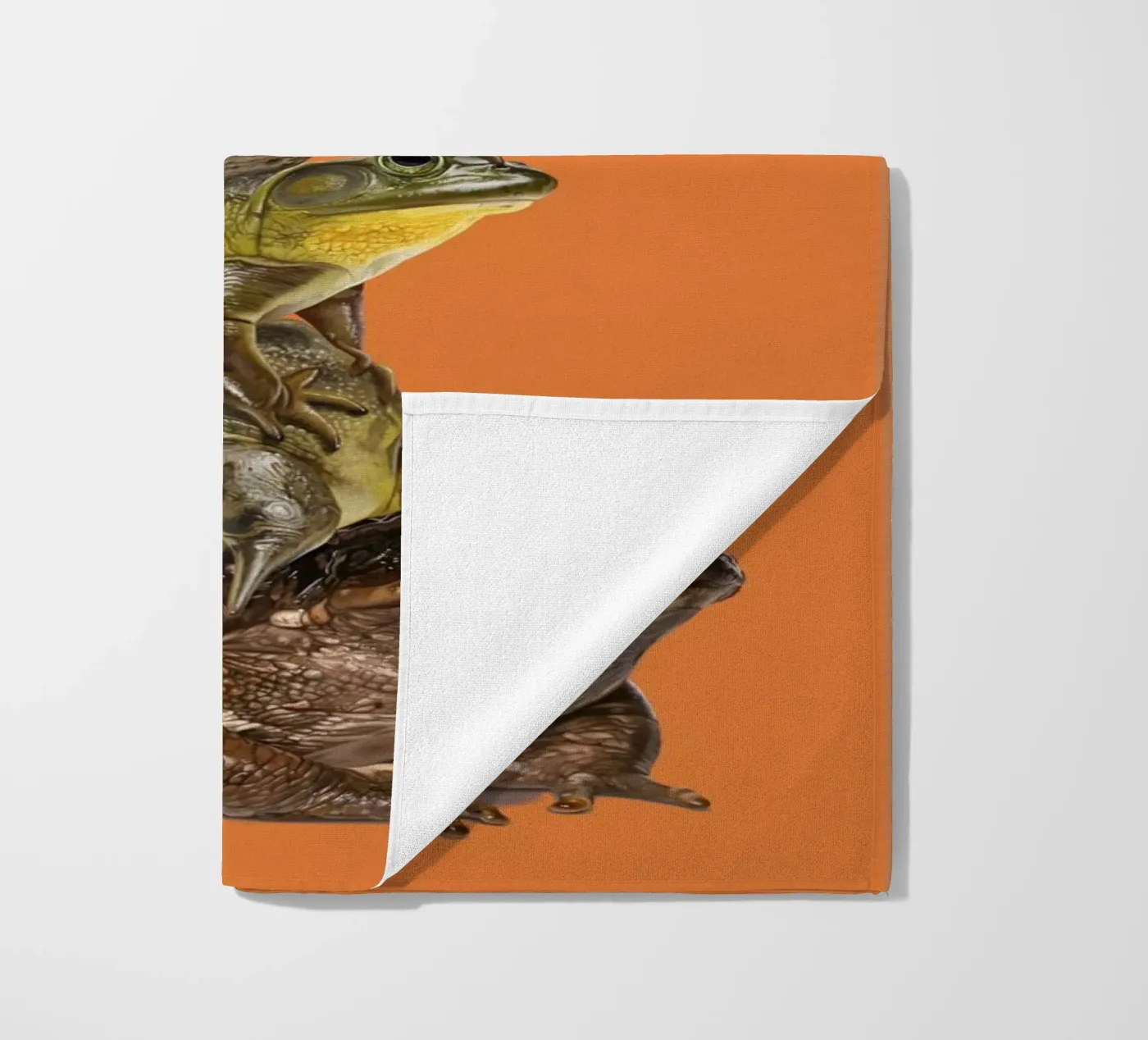 Toadstool (Colour) telo mare da Rob Art | Illustration