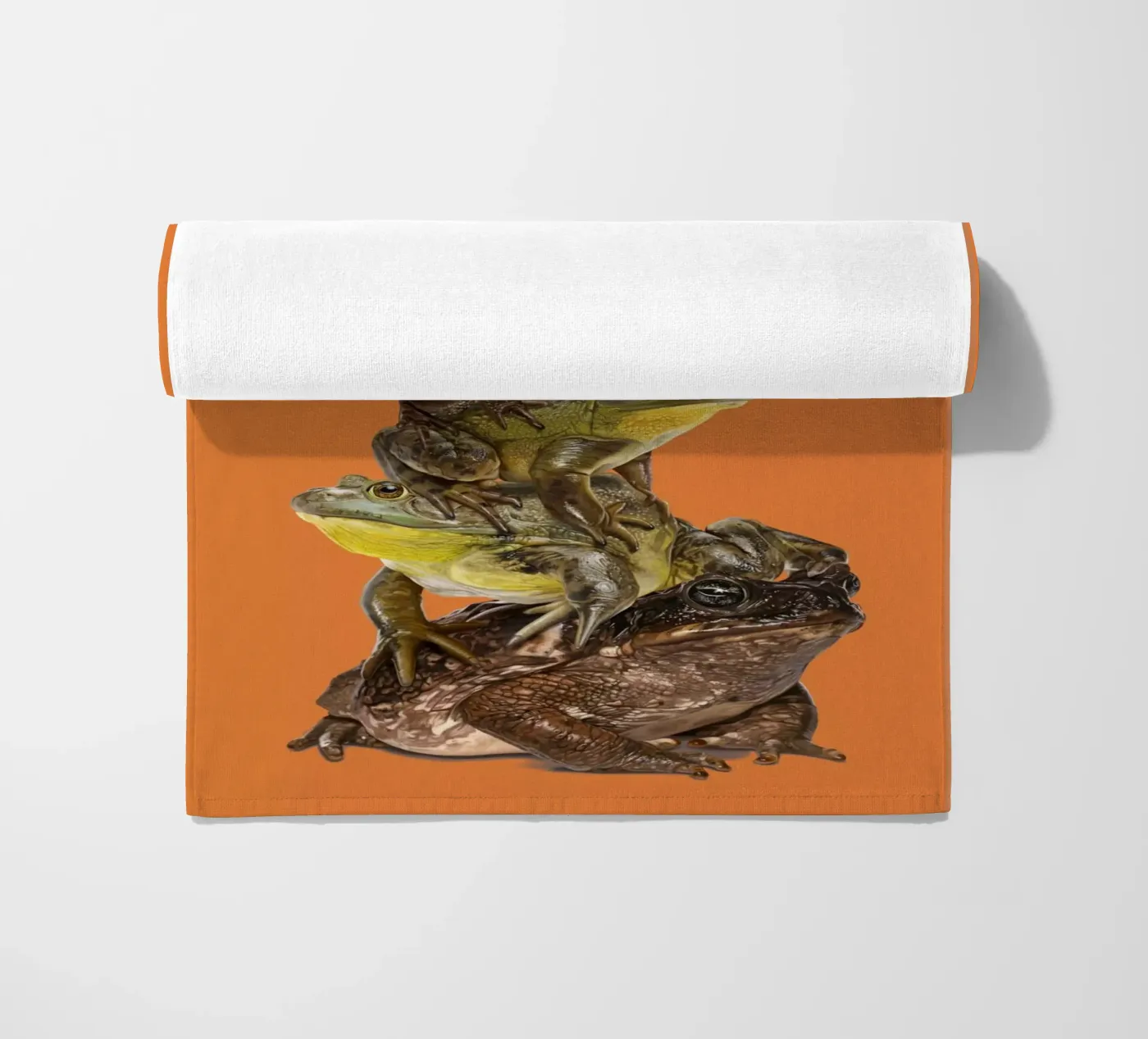 Toadstool (Colour) telo mare da Rob Art | Illustration