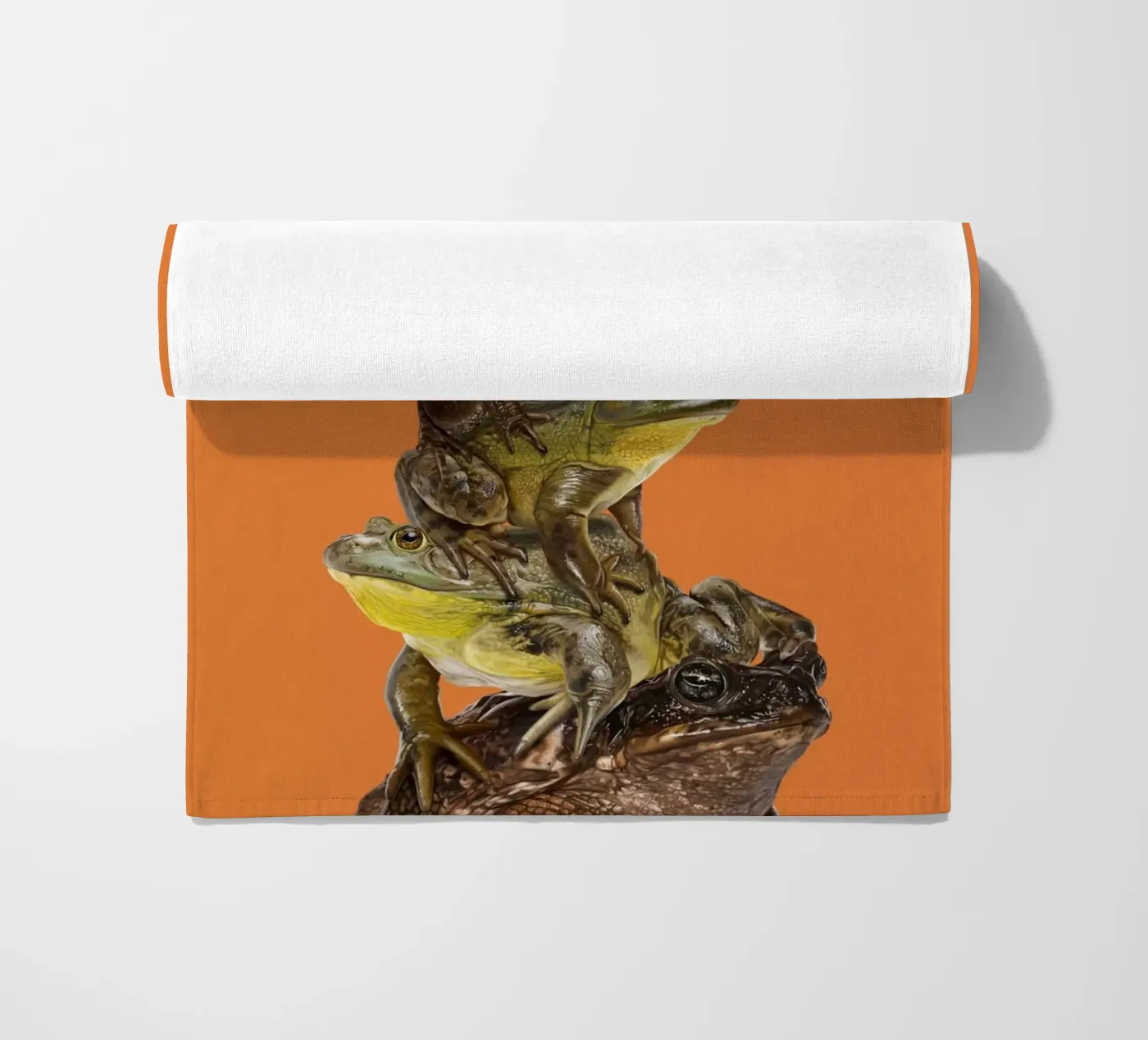 Toadstool (Colour) telo mare da Rob Art | Illustration