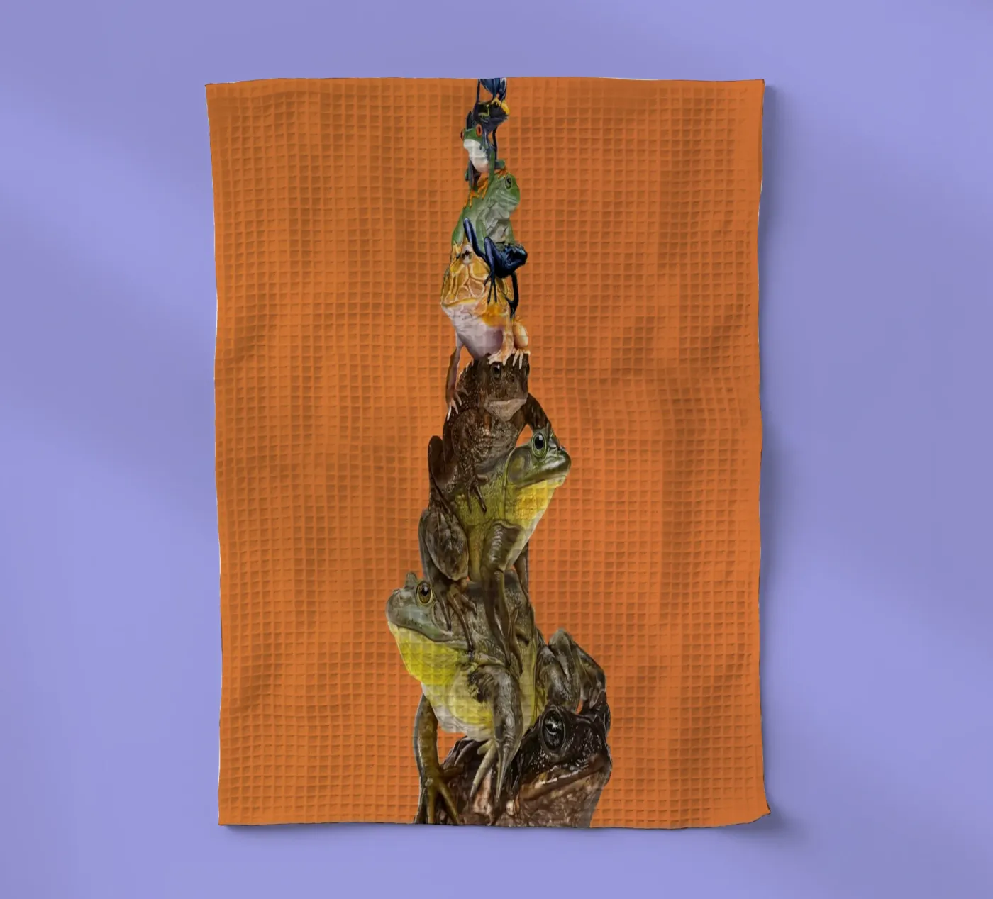 Toadstool (Colour) torchon de Rob Art | Illustration