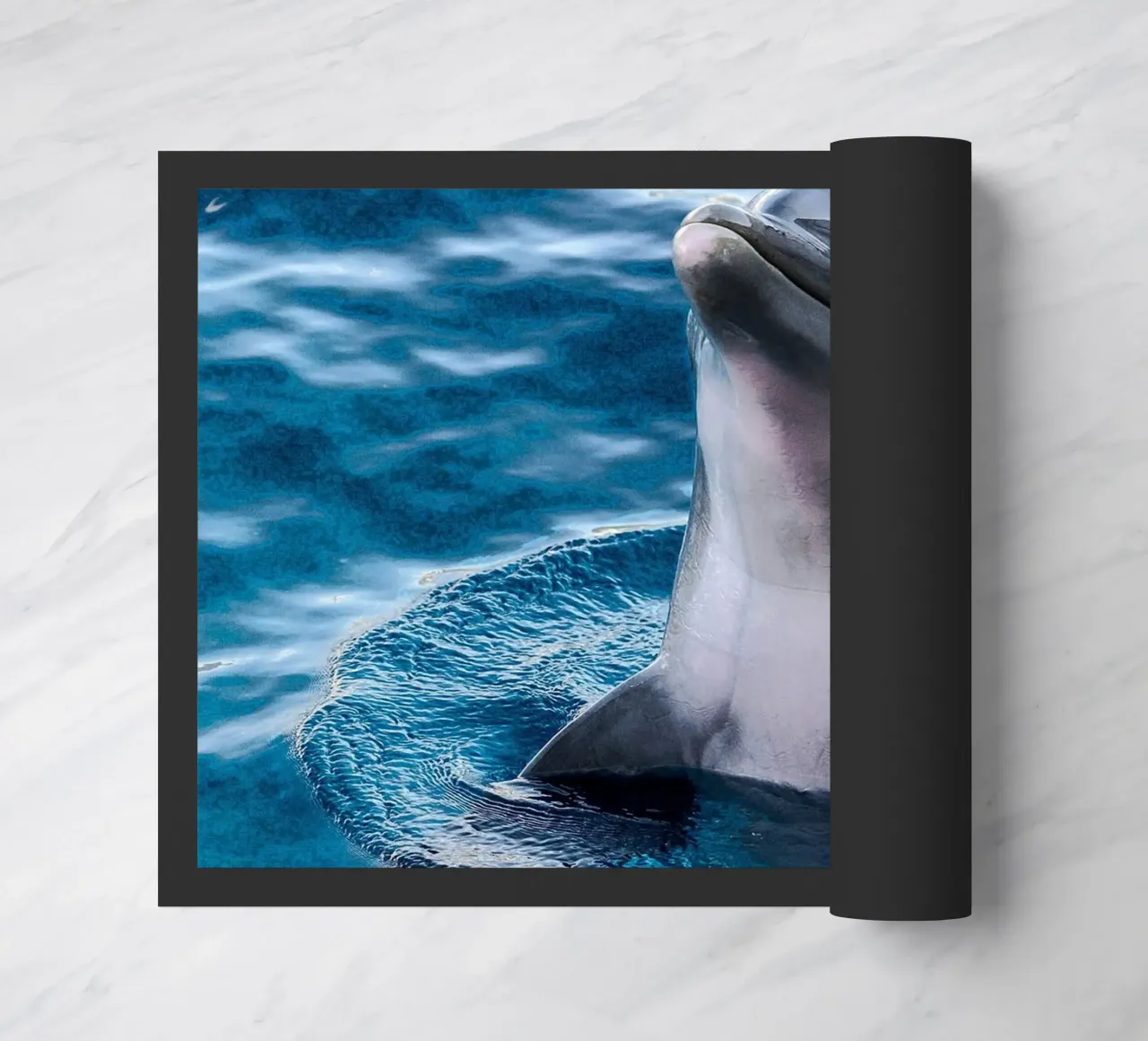 Acrobata oceanico zerbino da Nature's Palette