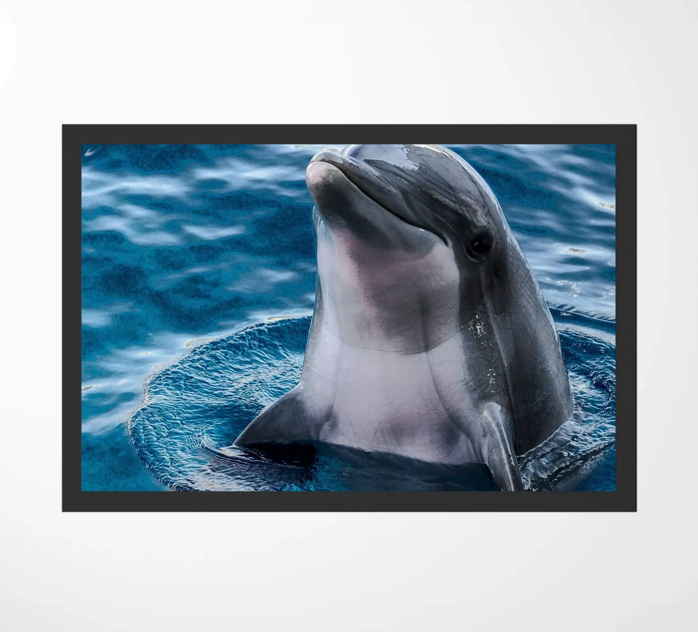 Ocean Acrobat doormat by Nature's Palette