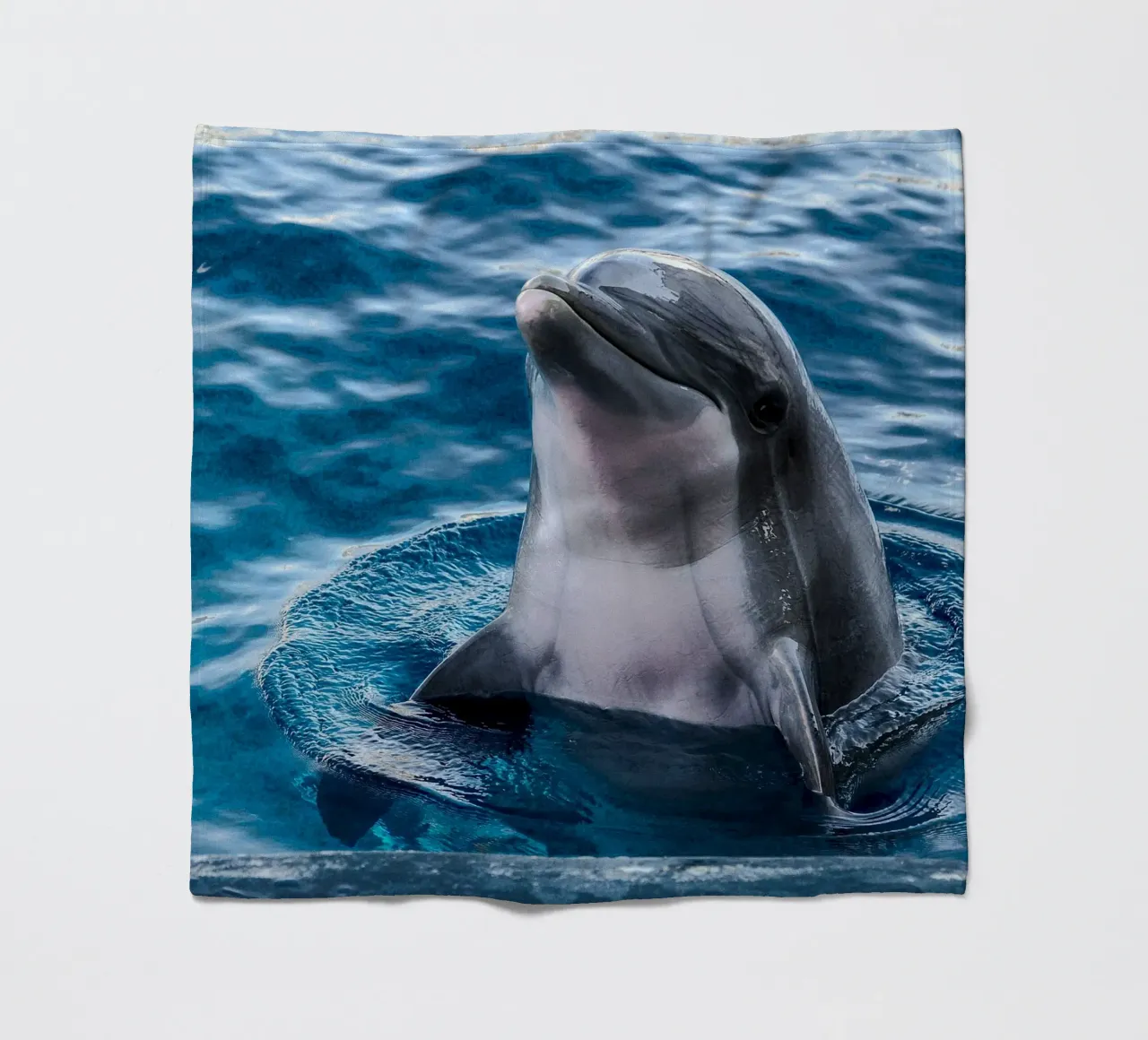 Acrobata oceanico coperta in pile da Nature's Palette