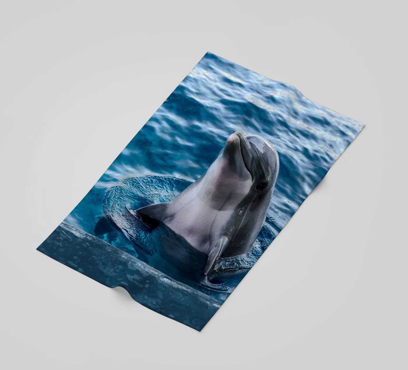 Ocean Acrobat telo mare da Nature's Palette