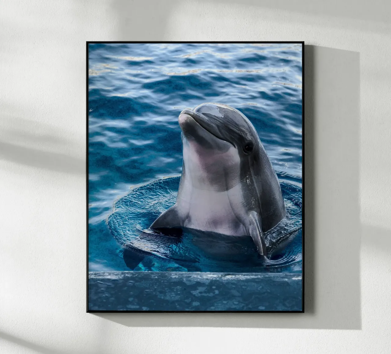 Acrobata oceanico plexiglass da Nature's Palette