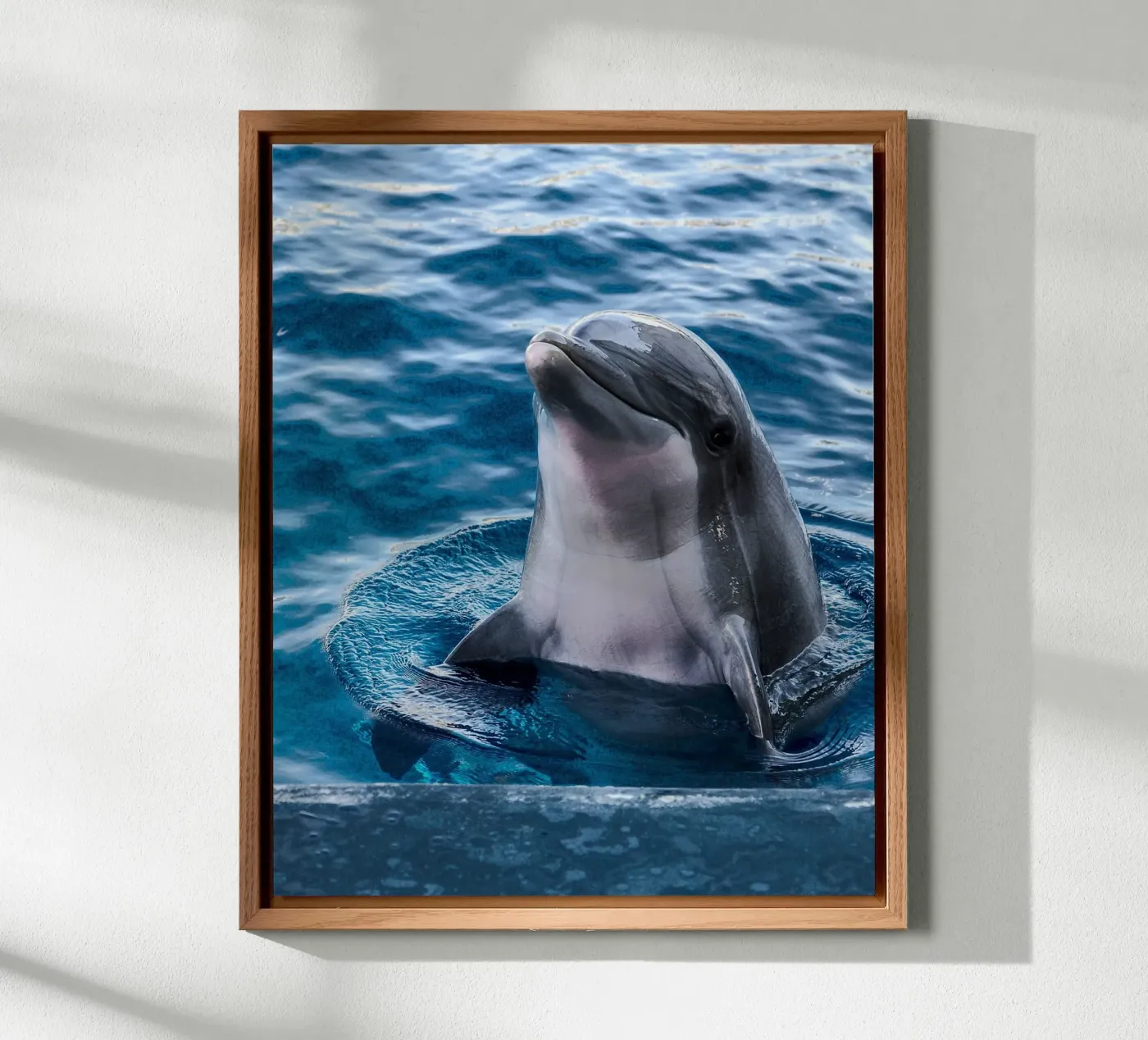 Ocean Acrobat forex plate by Nature's Palette