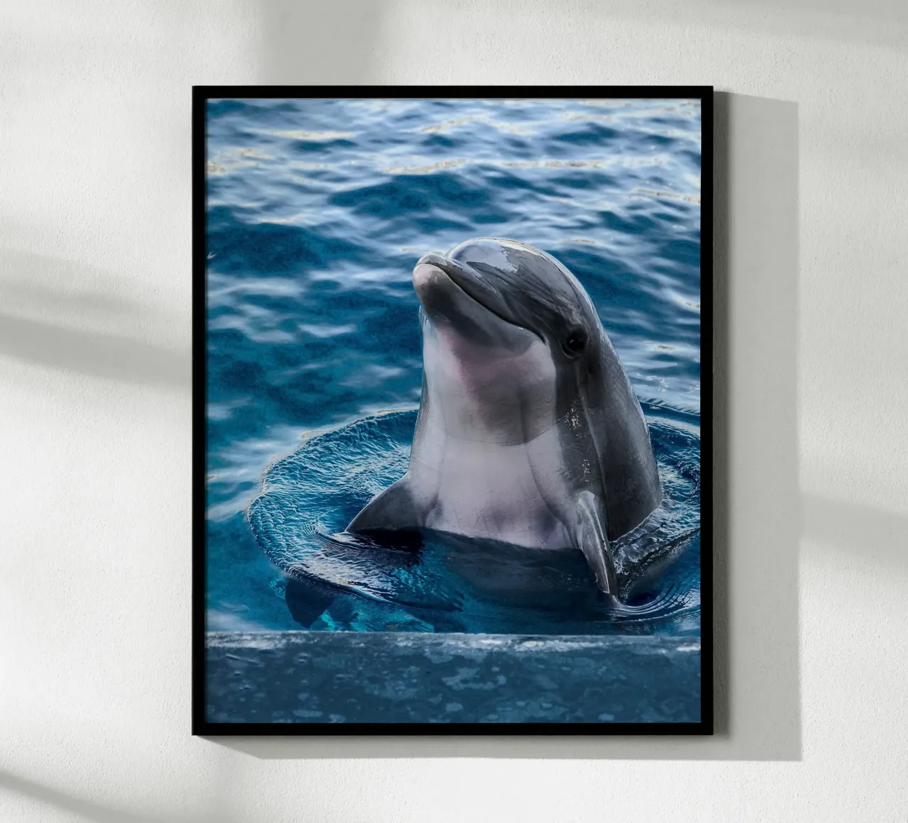 Ocean Acrobat poster de Nature's Palette