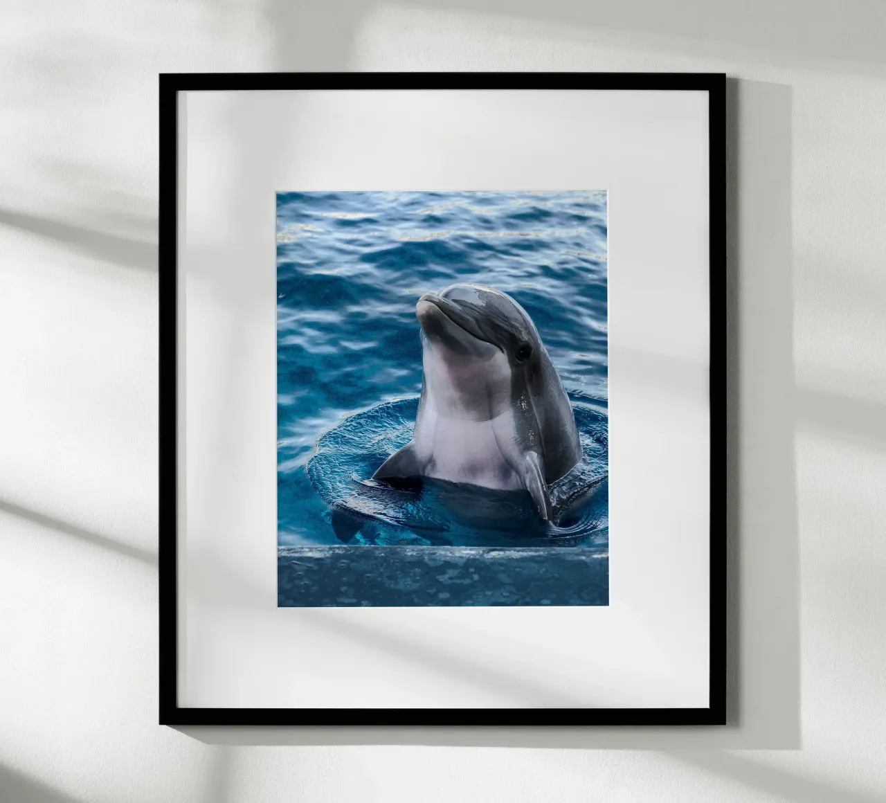 Ocean Acrobat poster de Nature's Palette