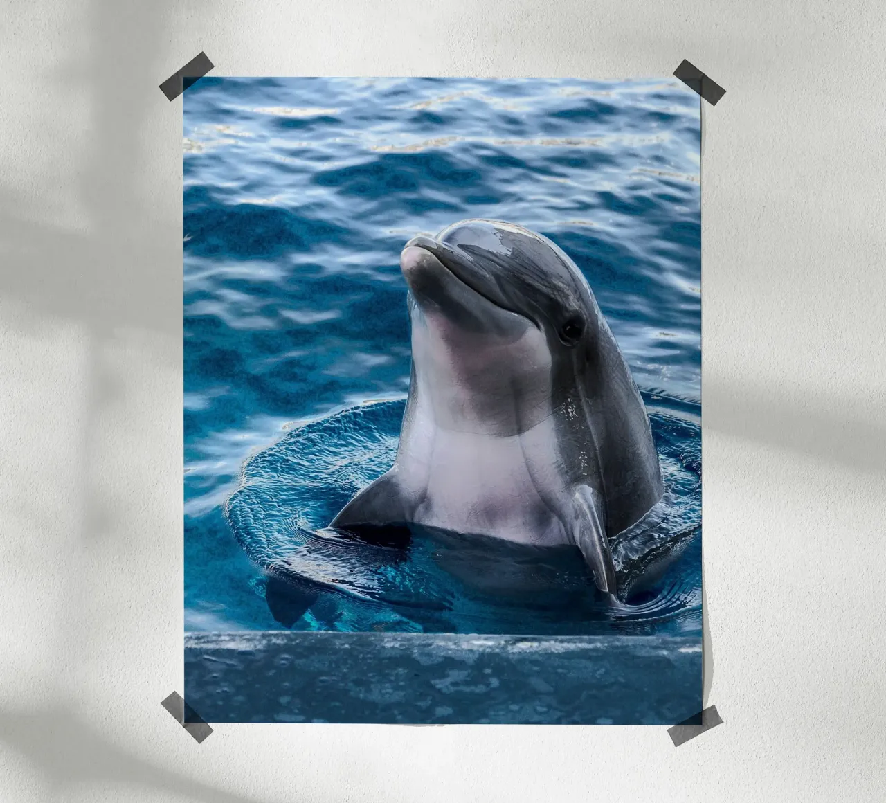 Acrobata oceanico poster con telaio in plastica da Nature's Palette