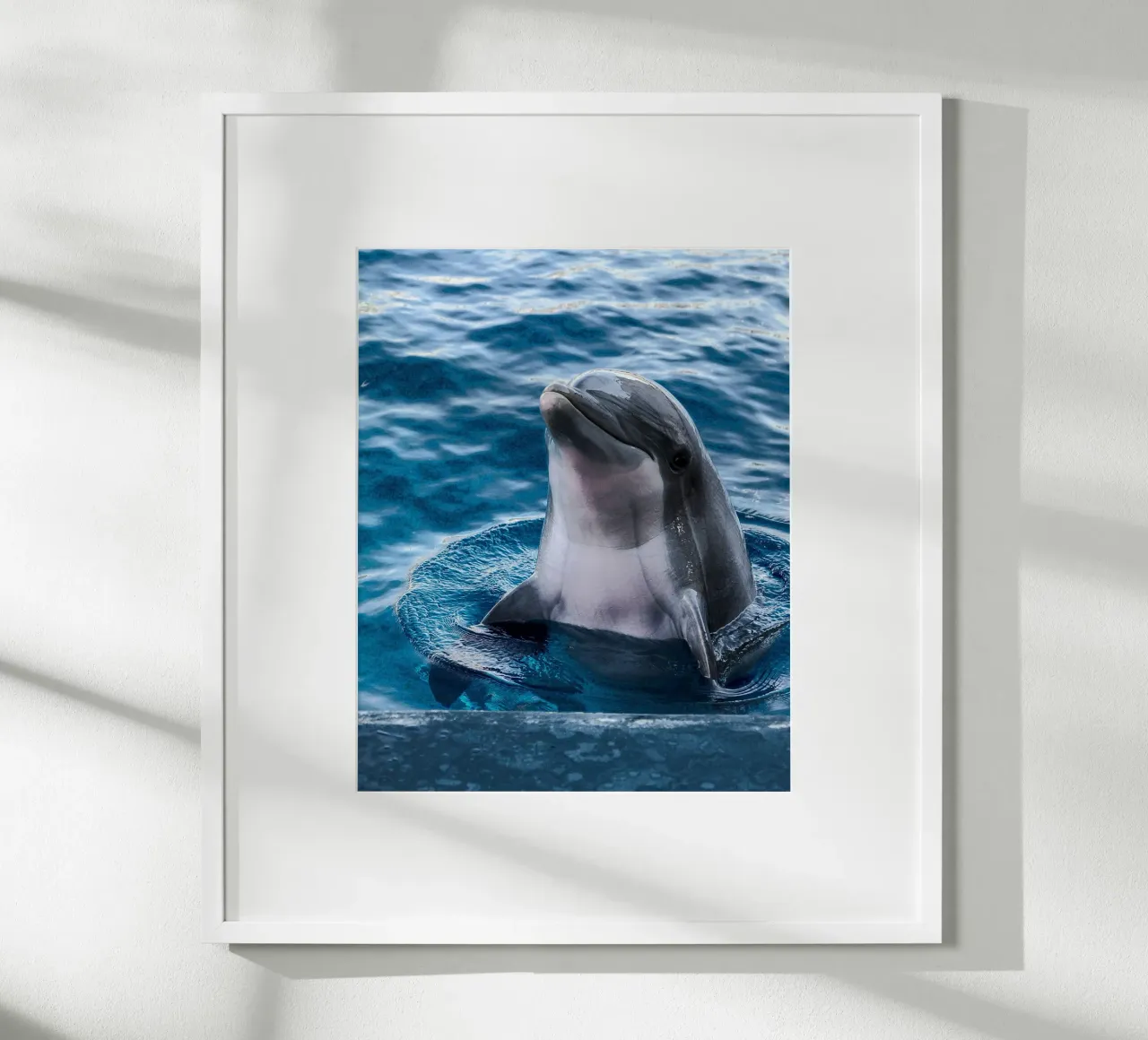 Acrobata oceanico poster con telaio in plastica da Nature's Palette