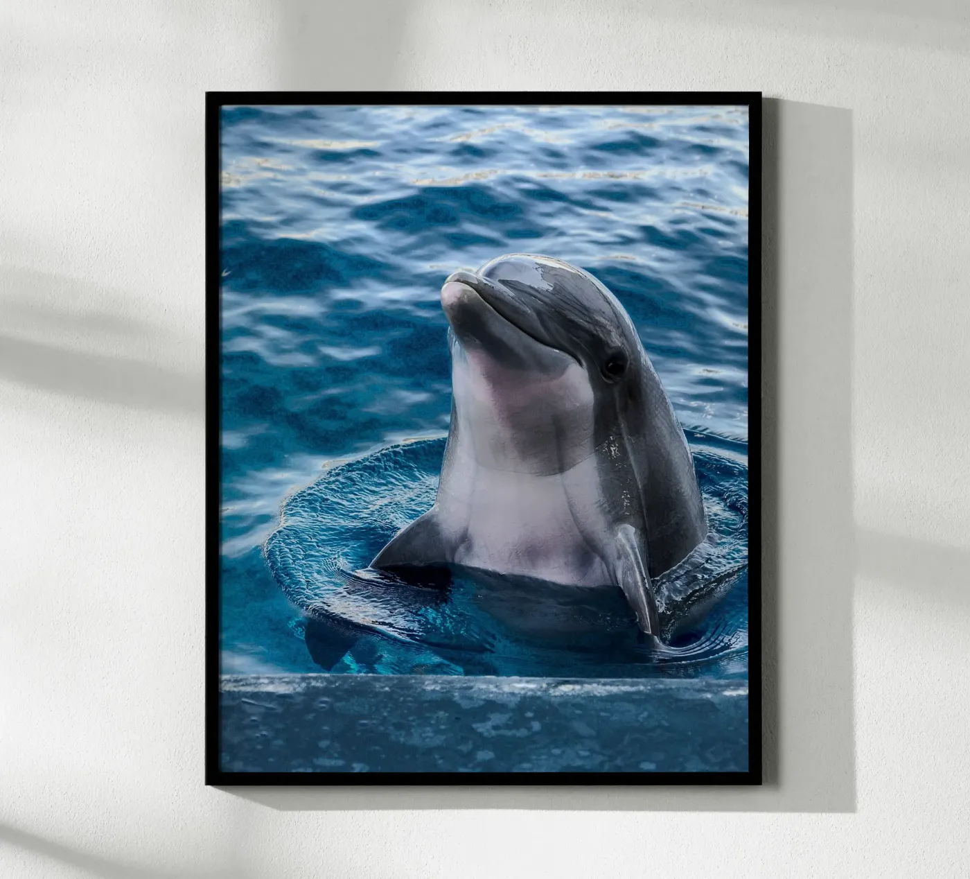 Ocean Acrobat poster da Nature's Palette