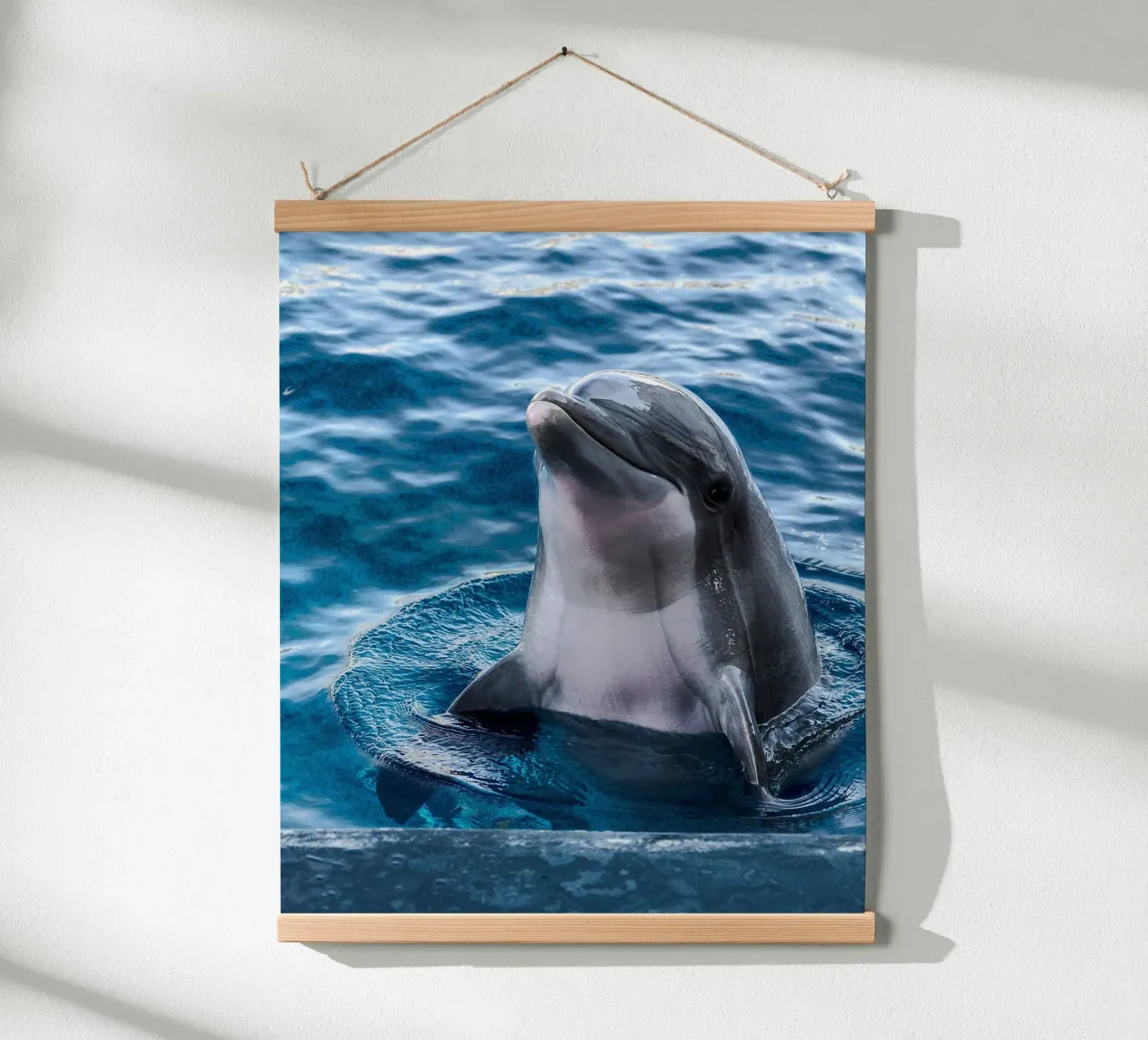 Ocean Acrobat poster de Nature's Palette