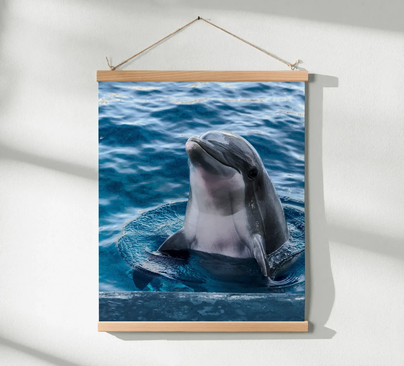 Acrobata oceanico poster da Nature's Palette