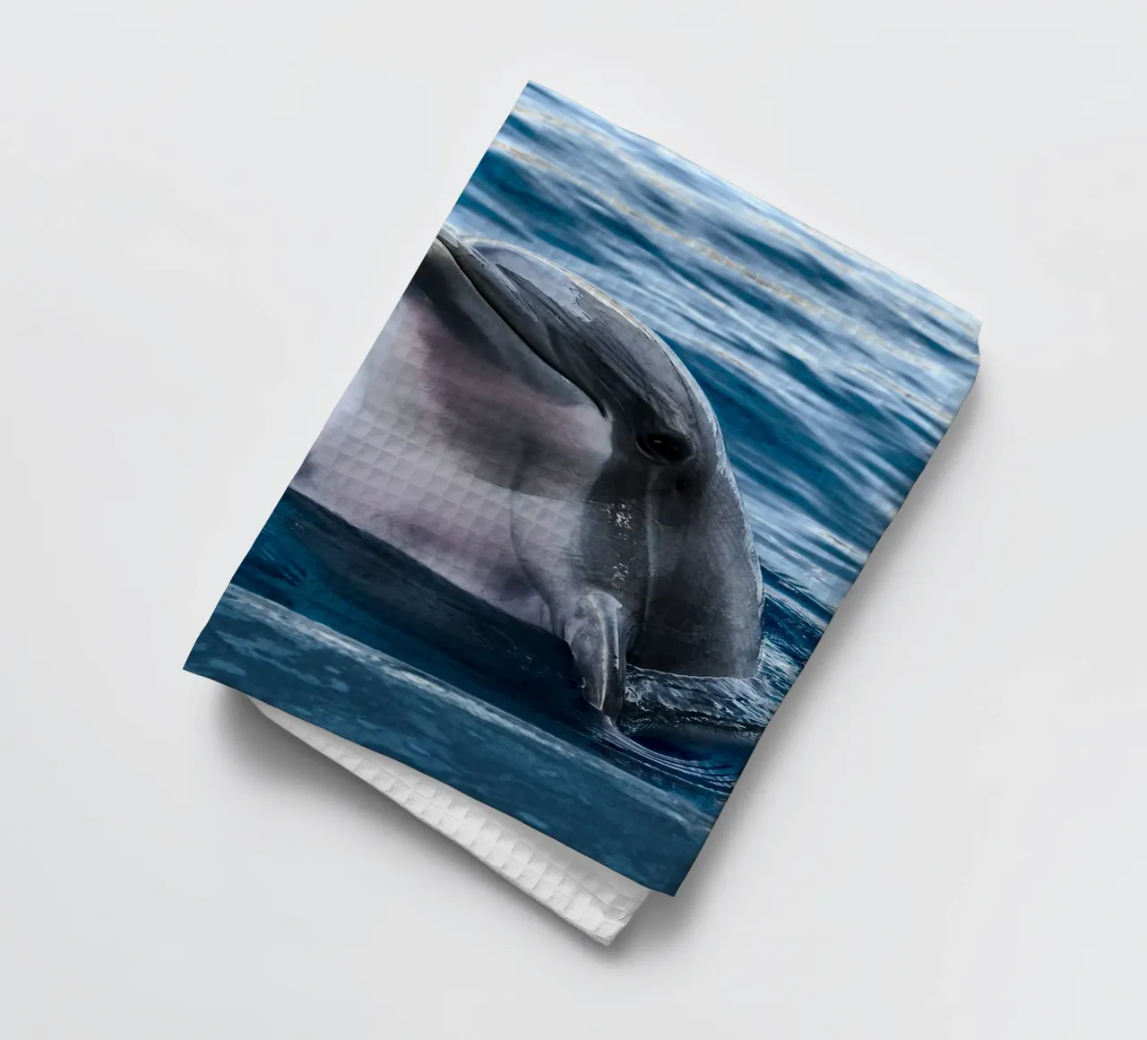 Acrobata oceanico canovaccio da cucina da Nature's Palette