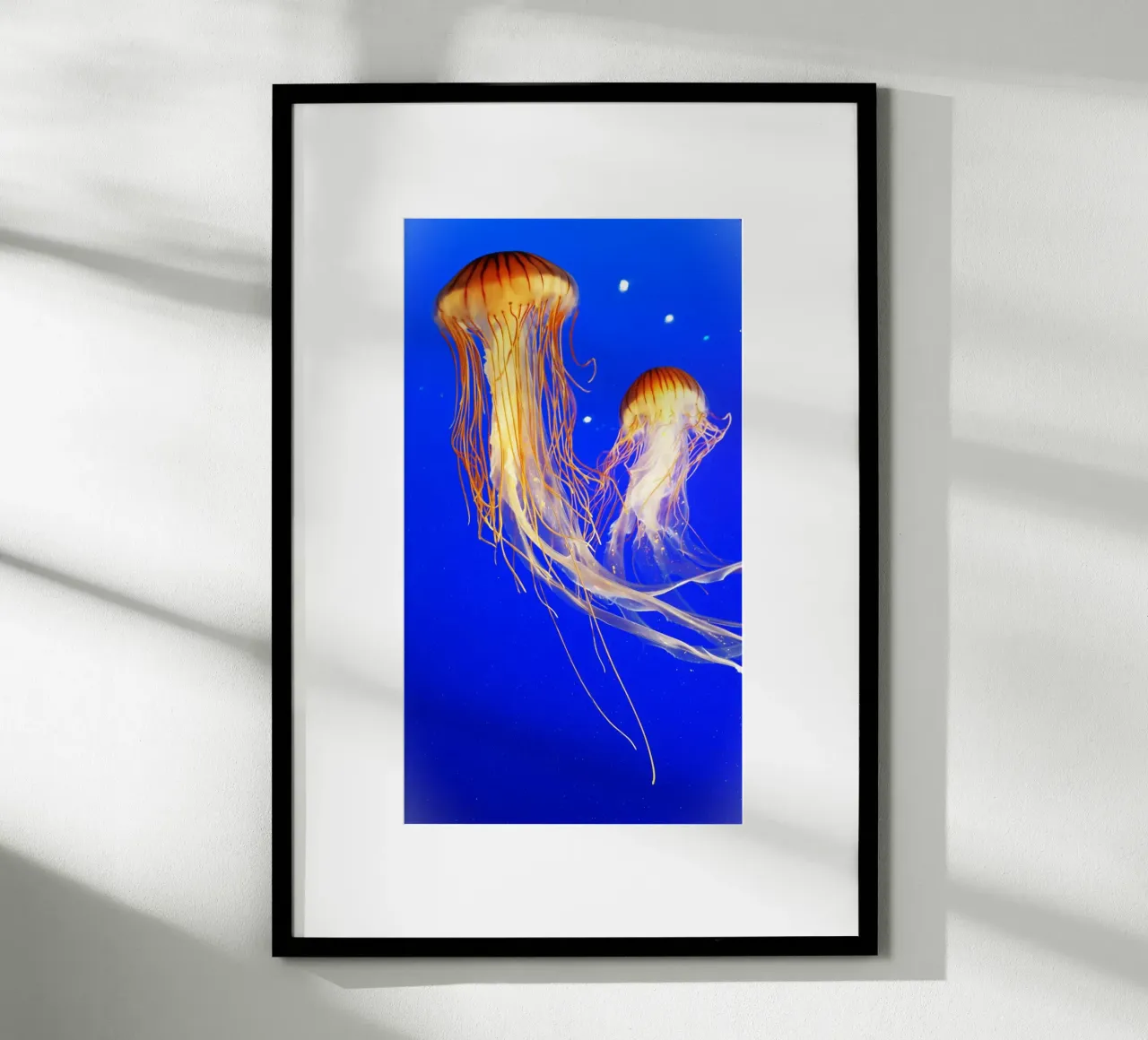 La danza delle meduse poster con telaio in legno da Nature's Palette
