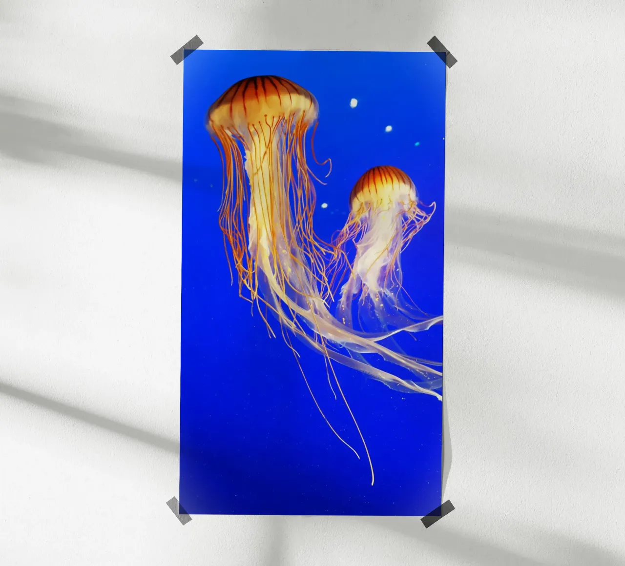La danza delle meduse poster con telaio in legno da Nature's Palette