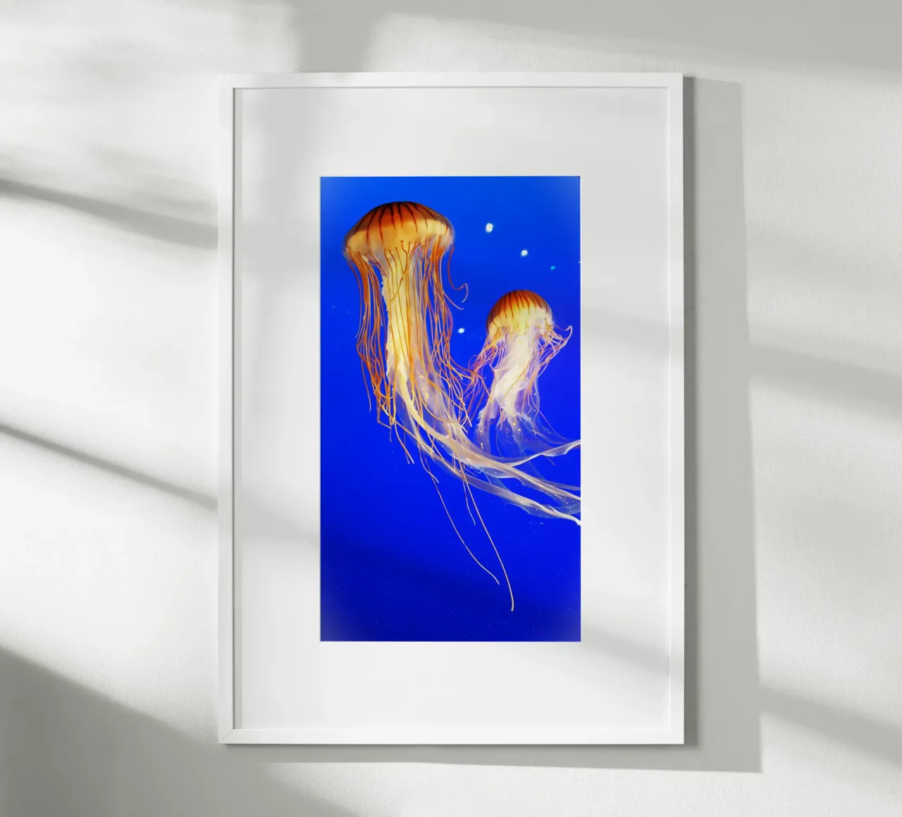 La danza delle meduse poster con telaio in legno da Nature's Palette