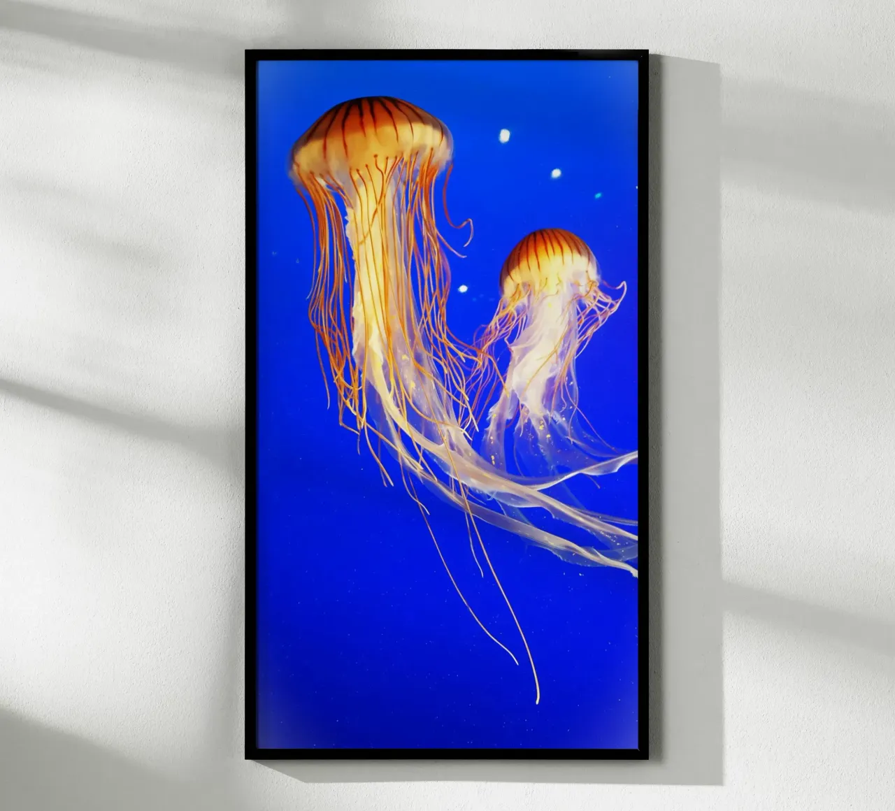 La danza delle meduse poster con telaio in legno da Nature's Palette