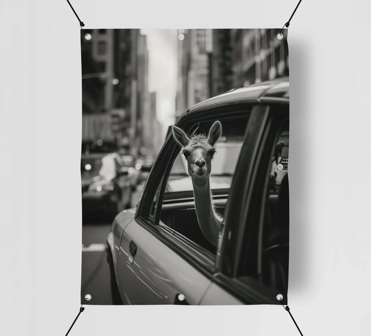 Traveling llama in New York telo in pvc da Leonard Barreiro