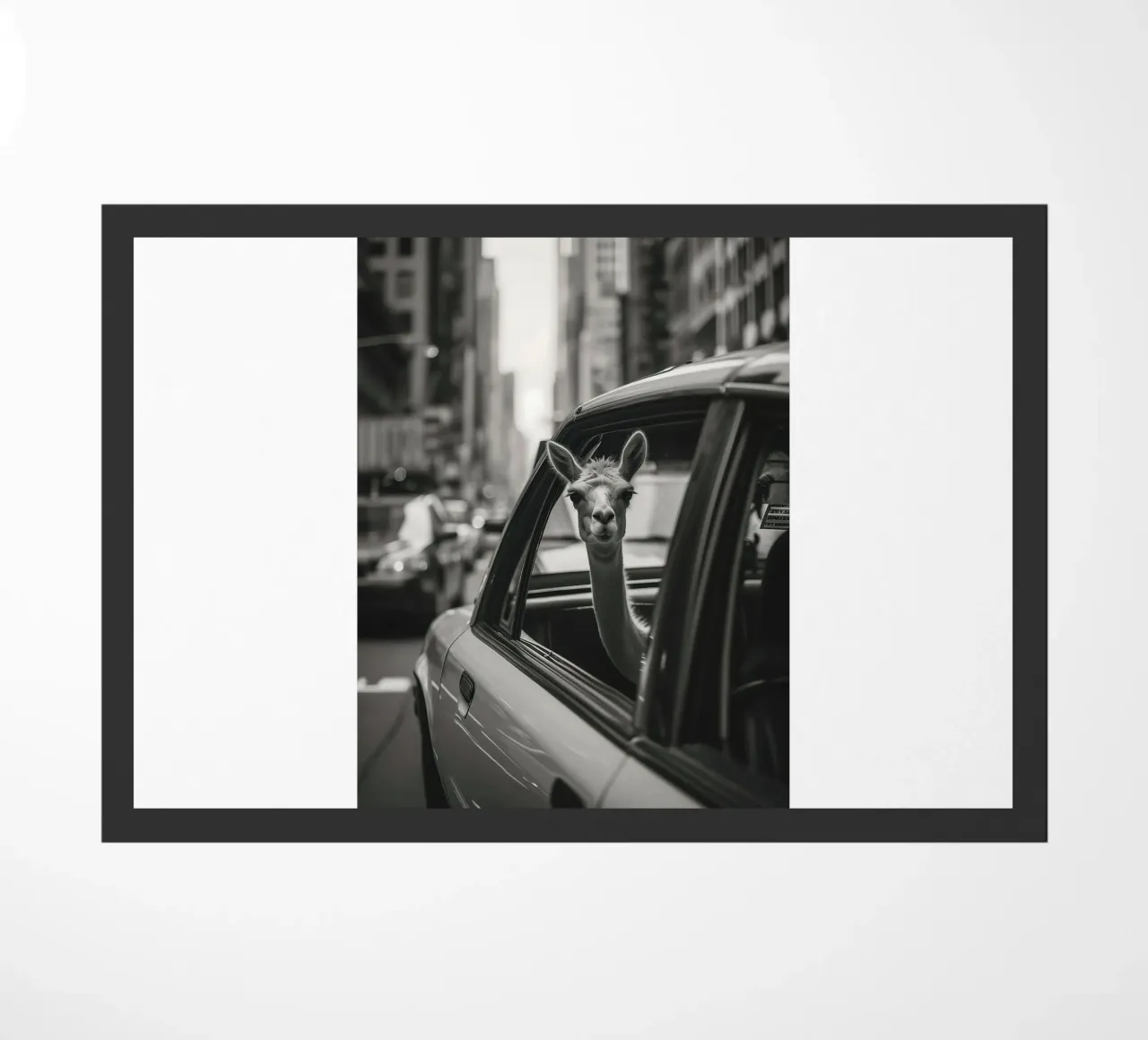 Traveling llama in New York zerbino da Leonard Barreiro