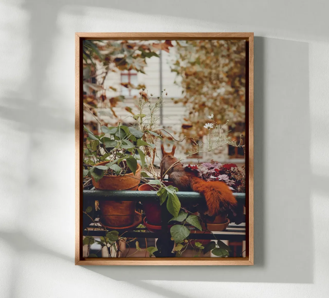 Balcony squirrel I canvas with Floater frame by Janine Sommer Fotografie