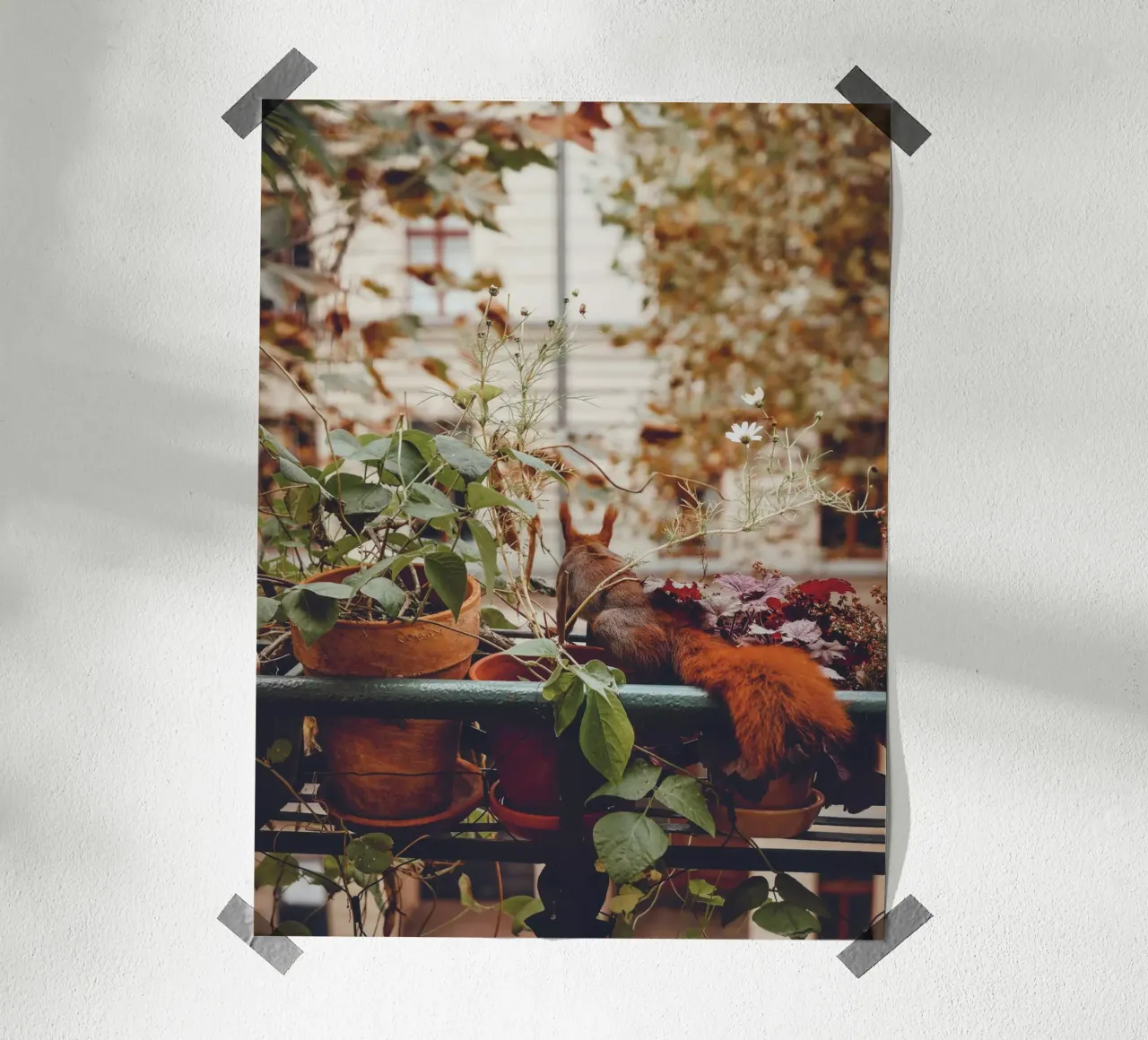 Scoiattolo da balcone I carta hahnemühle da Janine Sommer Fotografie