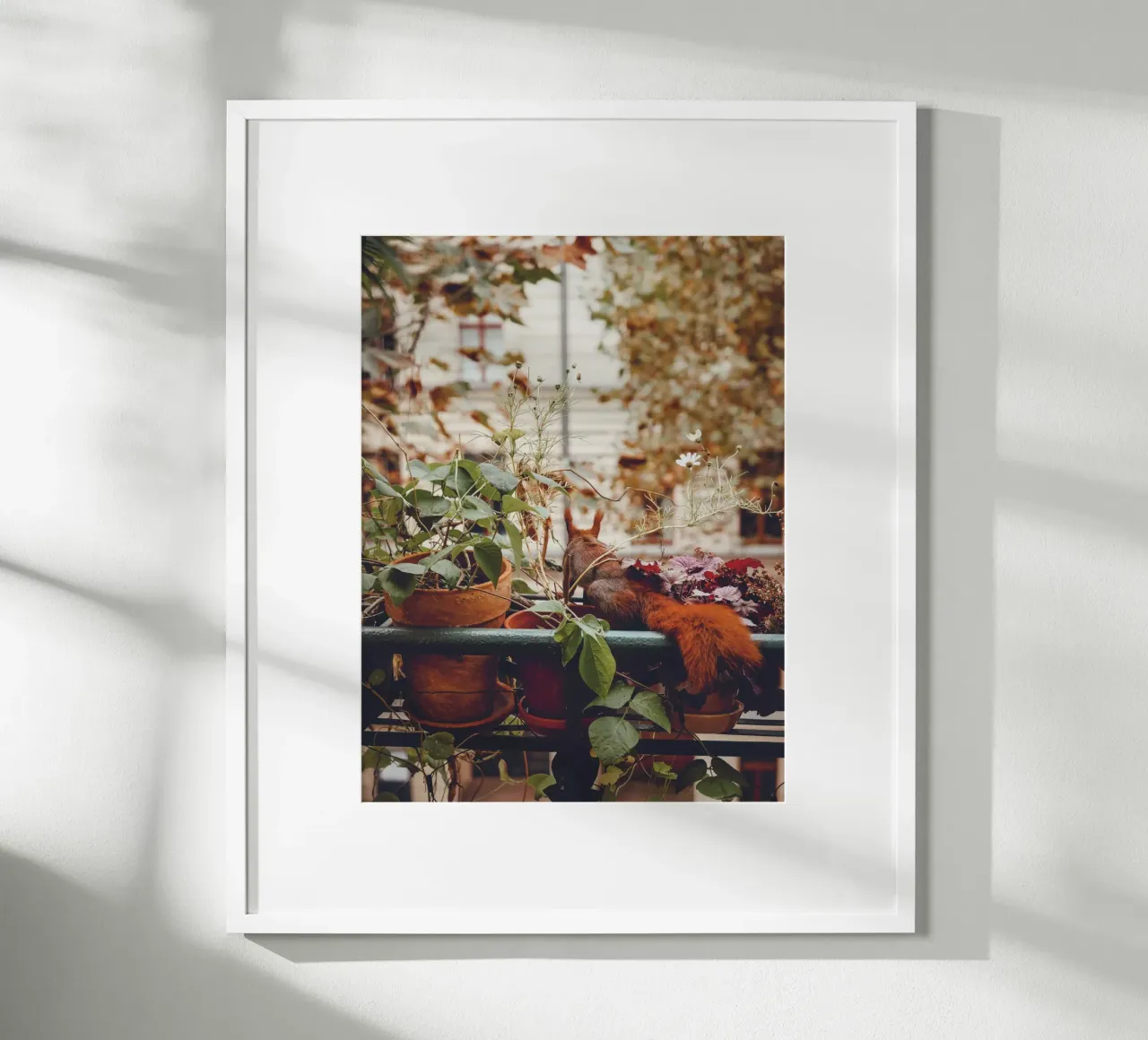 Scoiattolo da balcone I carta hahnemühle da Janine Sommer Fotografie