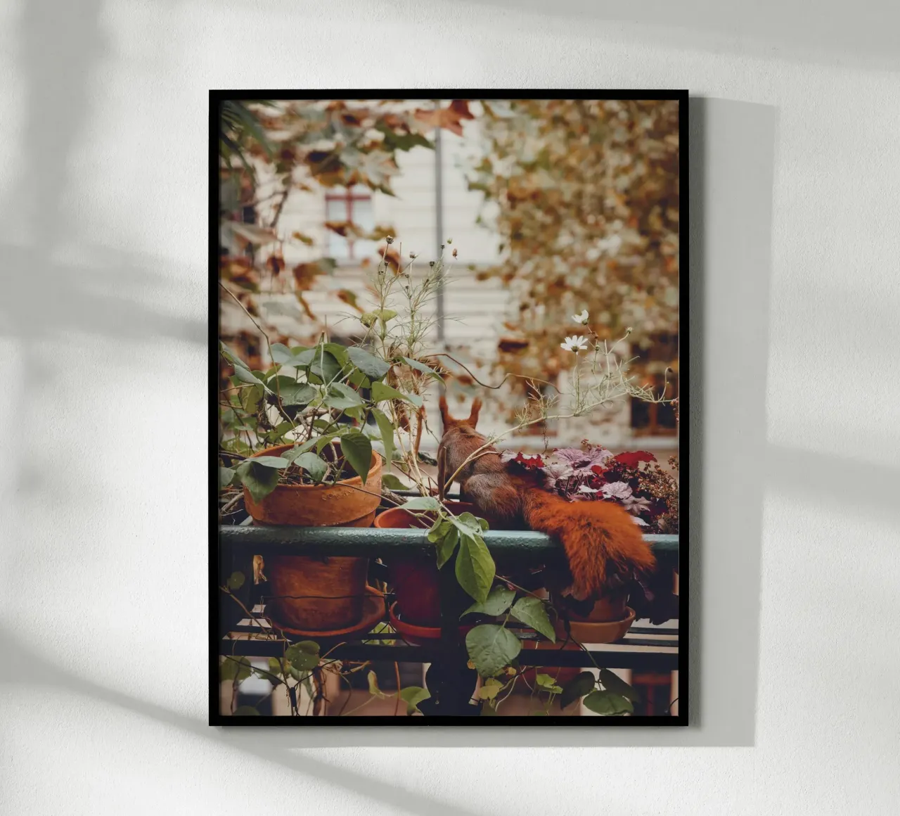Scoiattolo da balcone I carta hahnemühle da Janine Sommer Fotografie