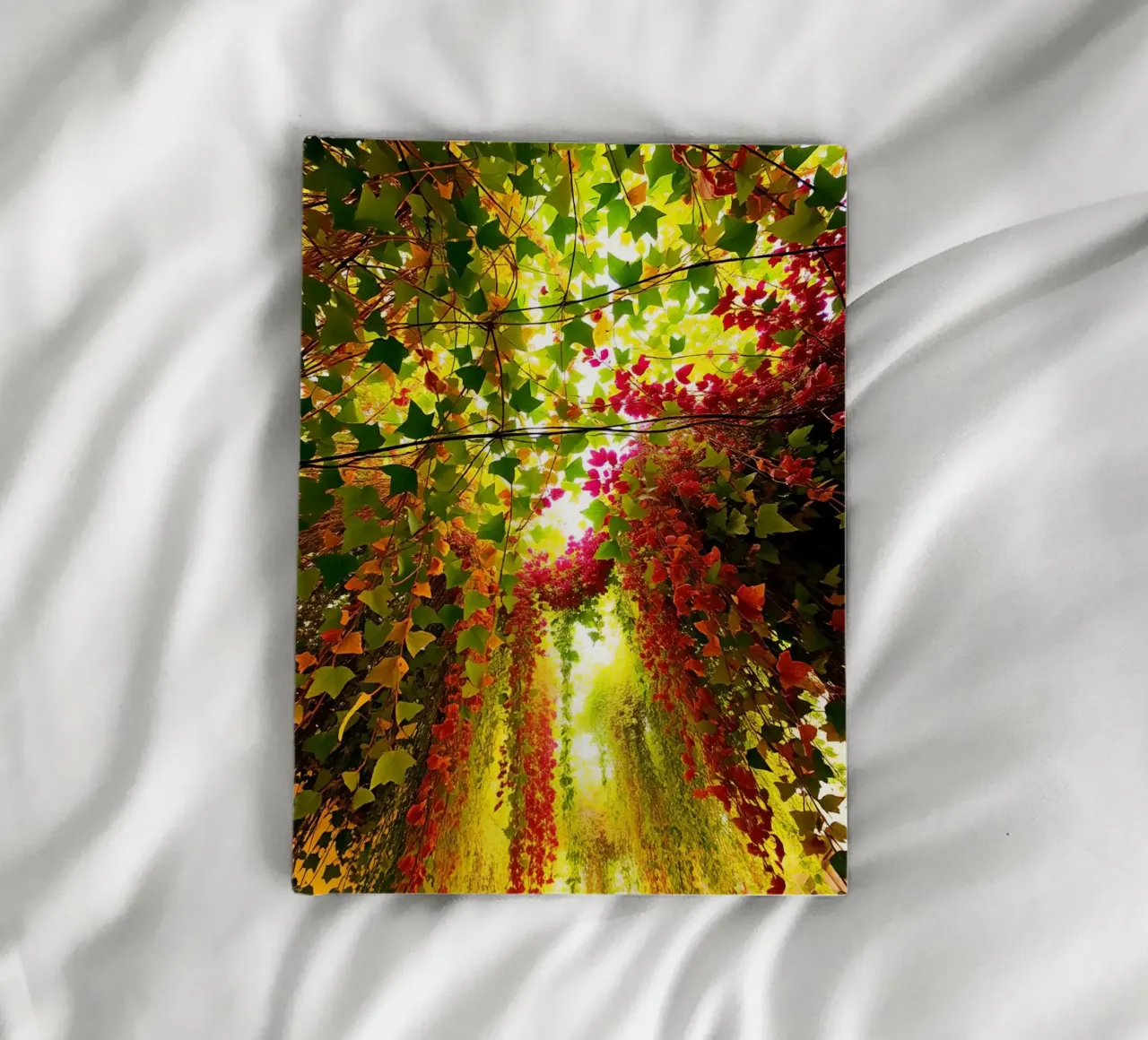 Low Angle View of Building Covered in Climbing Plants notebook by DesignDoodle
