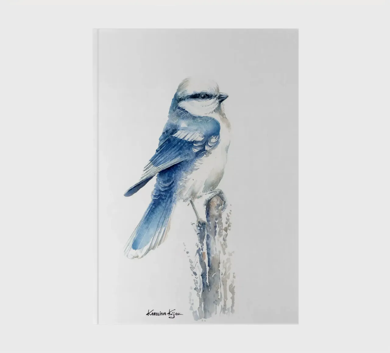 Azure tit notebook by Karolina Kijak