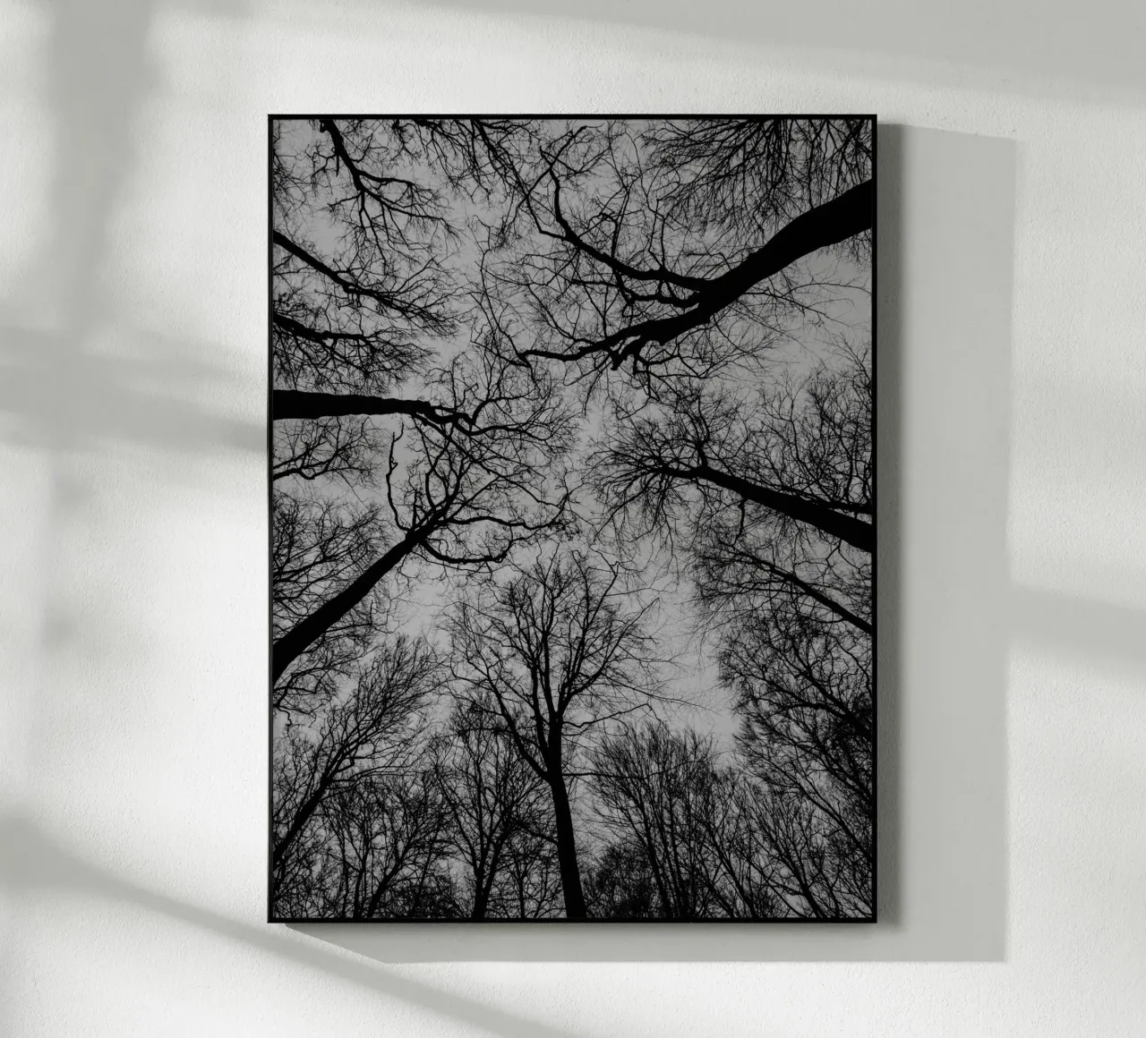 Spaces between trees acrylic glass by Janine Sommer Fotografie