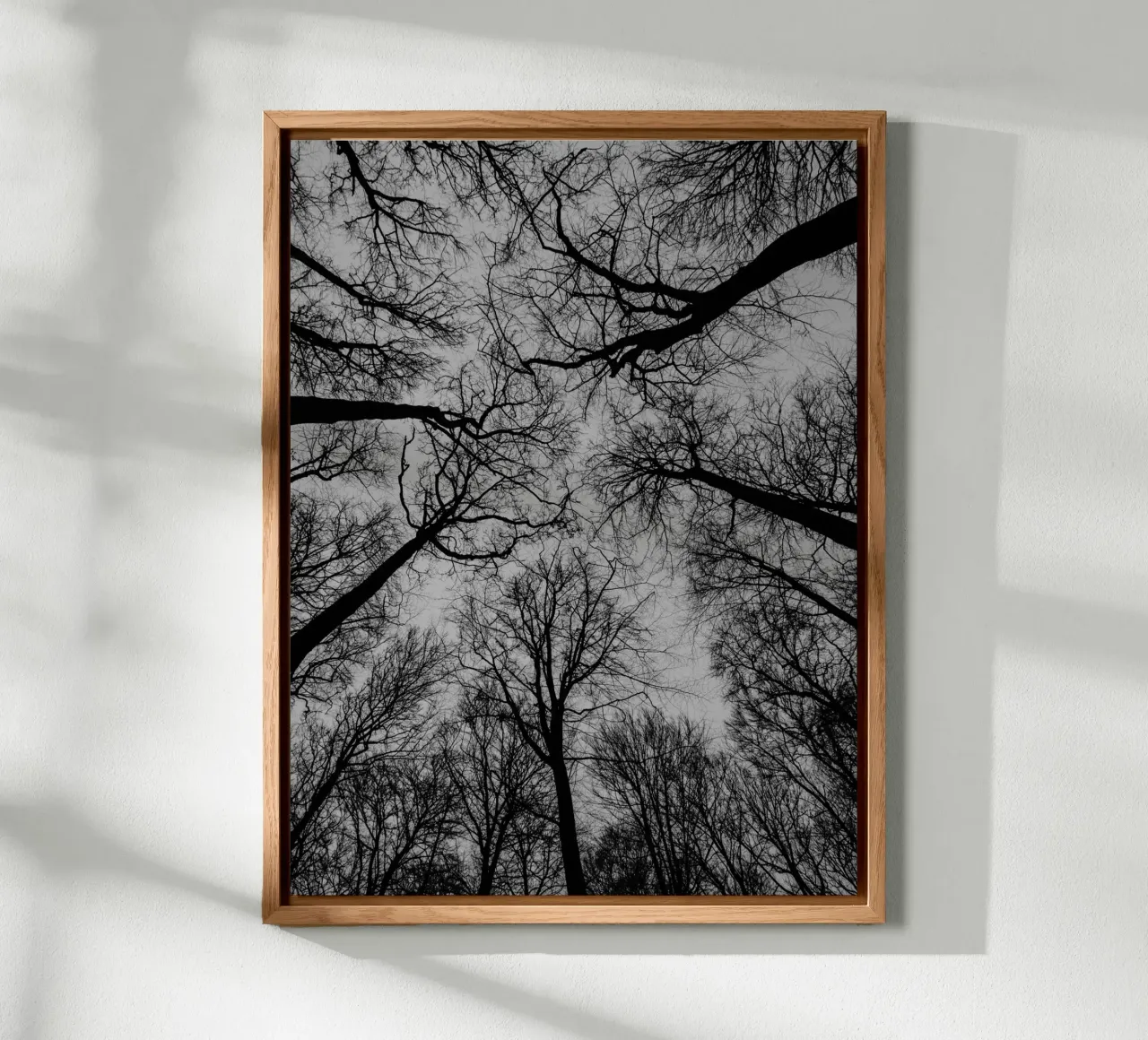 Spaces between trees alu-dibond by Janine Sommer Fotografie