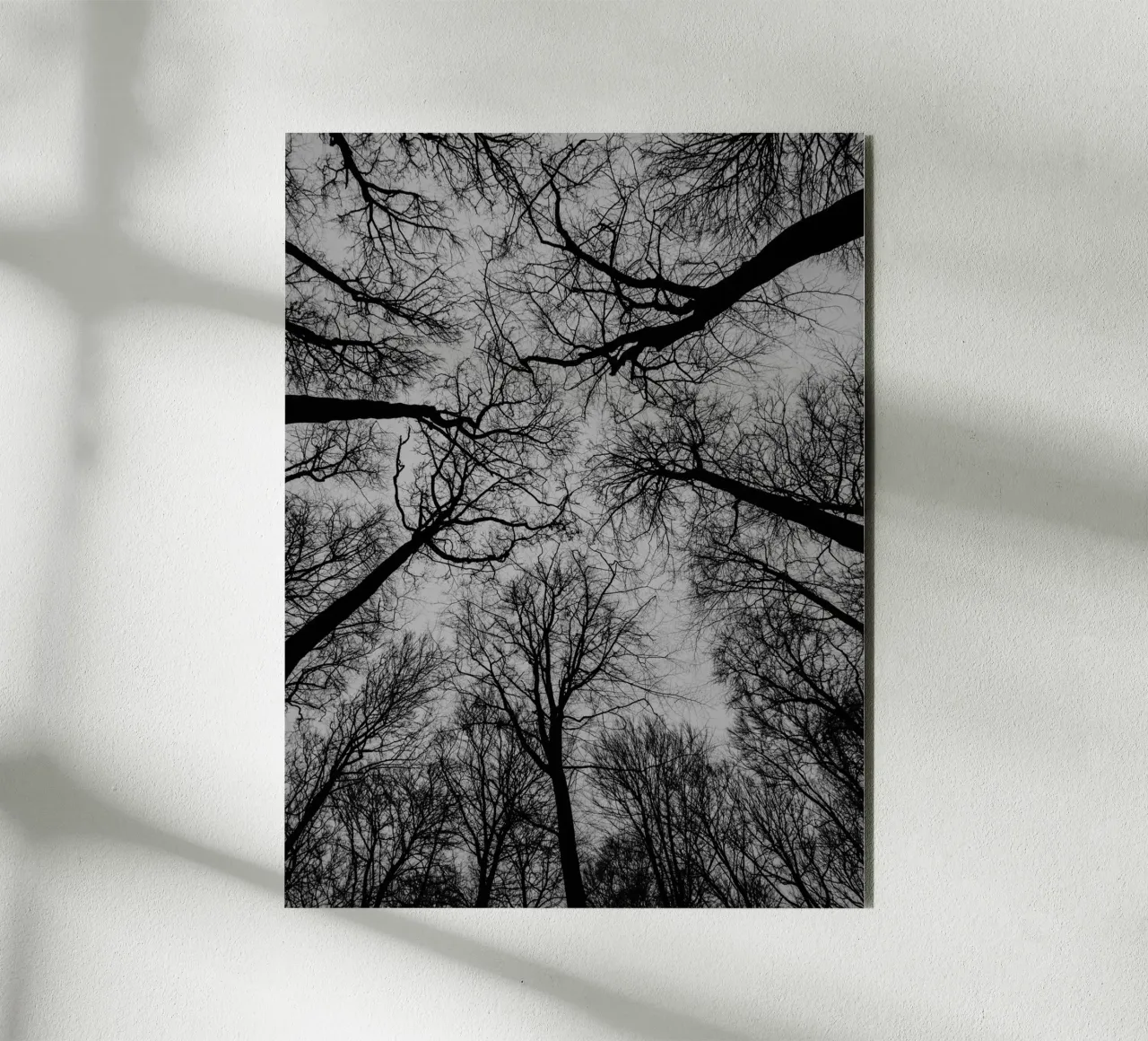 Spaces between trees alu-dibond by Janine Sommer Fotografie