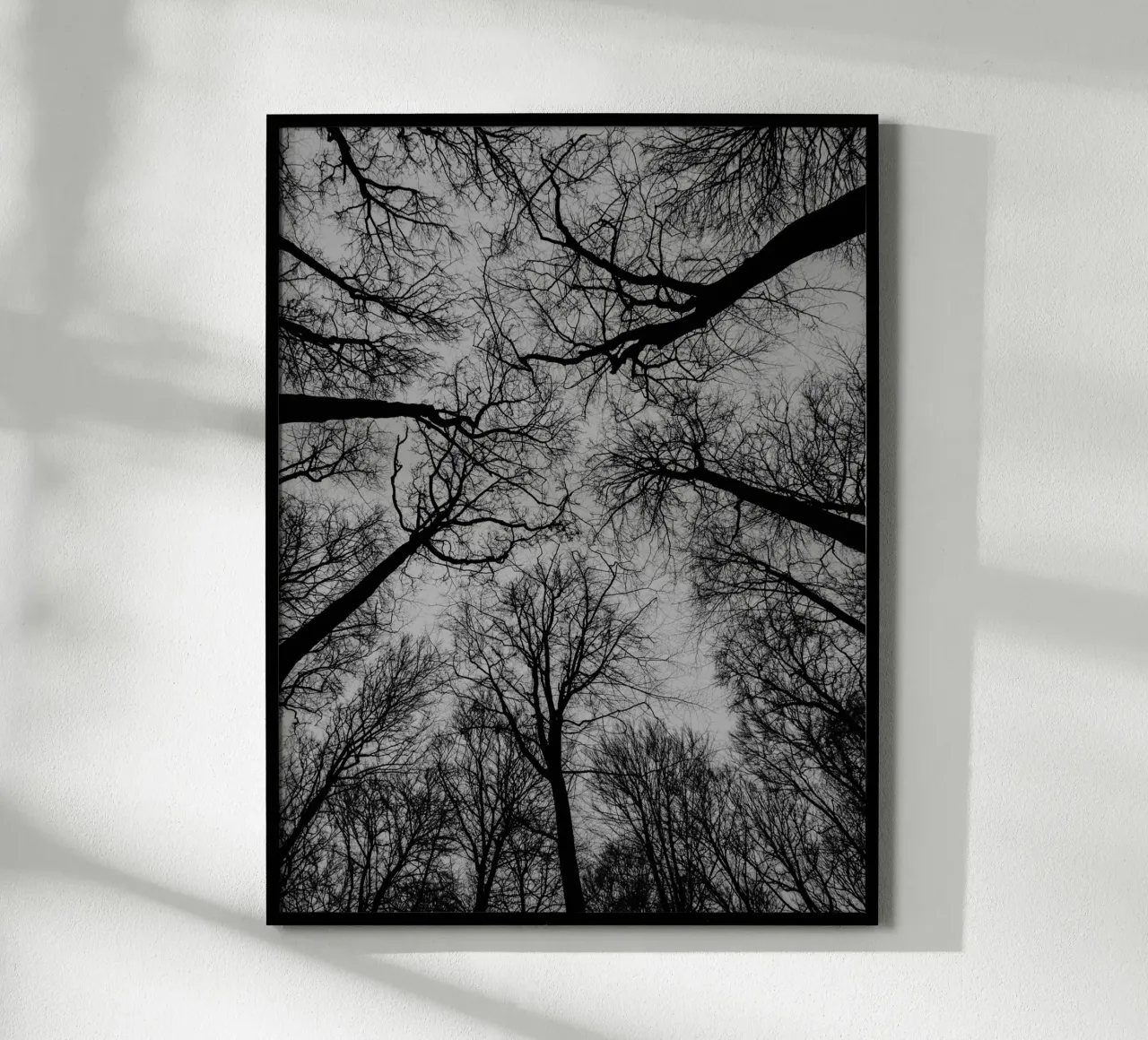 Spaces between trees poster by Janine Sommer Fotografie