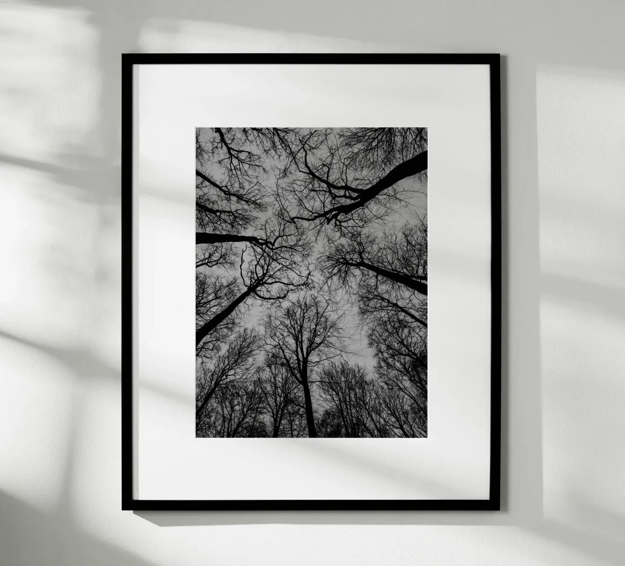 Spaces between trees hahnemühle by Janine Sommer Fotografie