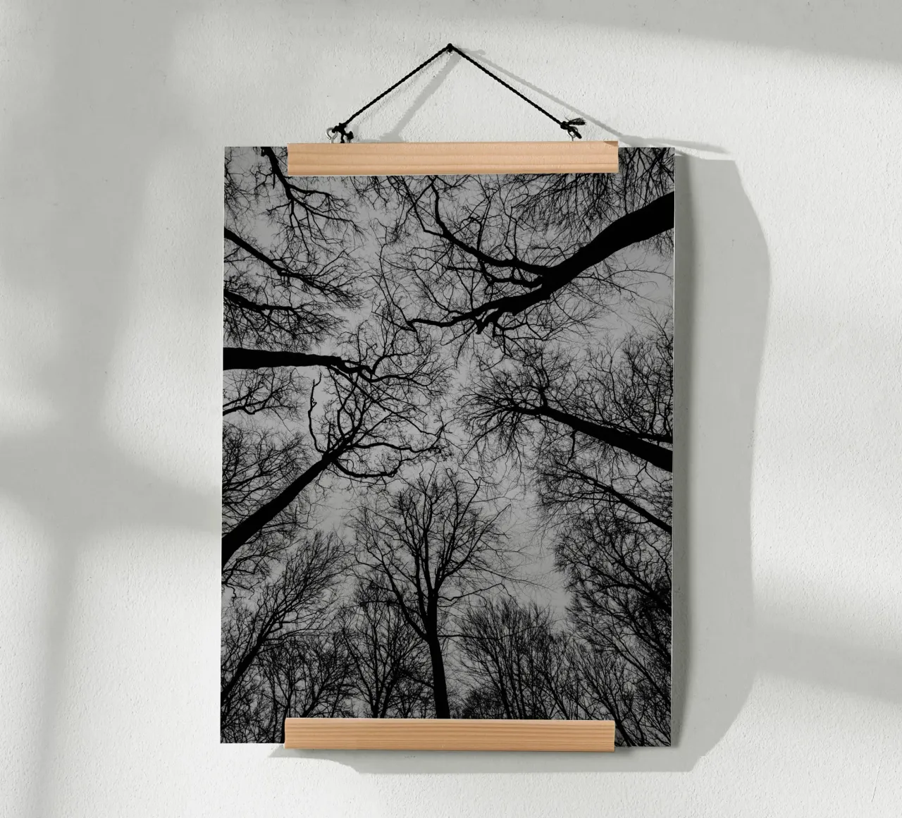 Spaces between trees poster by Janine Sommer Fotografie