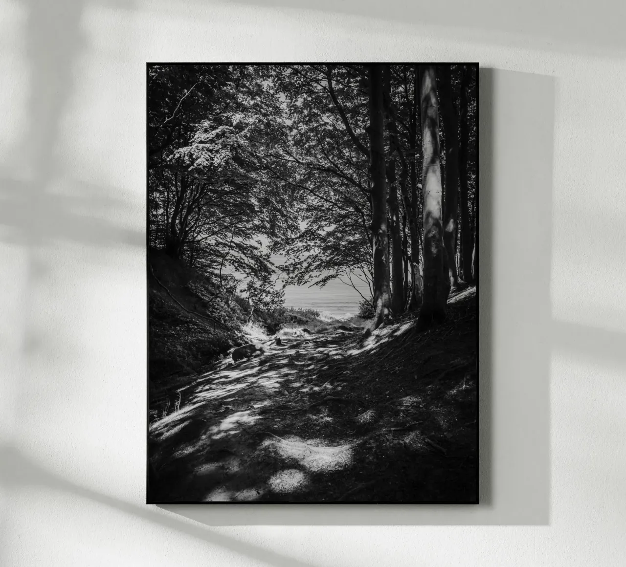 Luce di bosco in riva al mare plexiglass da Janine Sommer Fotografie