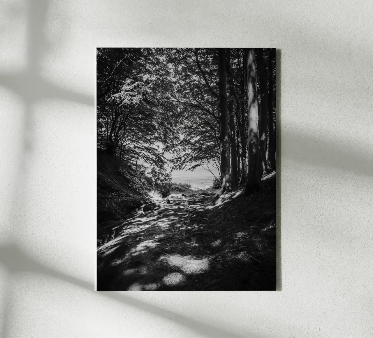 Luce di bosco in riva al mare tela con Cornice a cassetta da Janine Sommer Fotografie